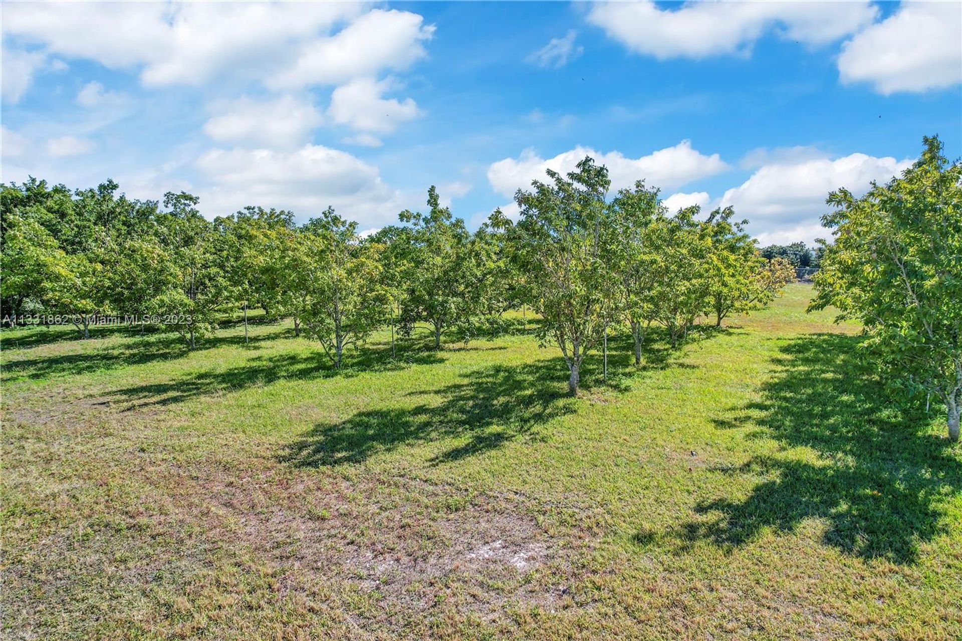 Maa sisään Homestead, Florida 11622010