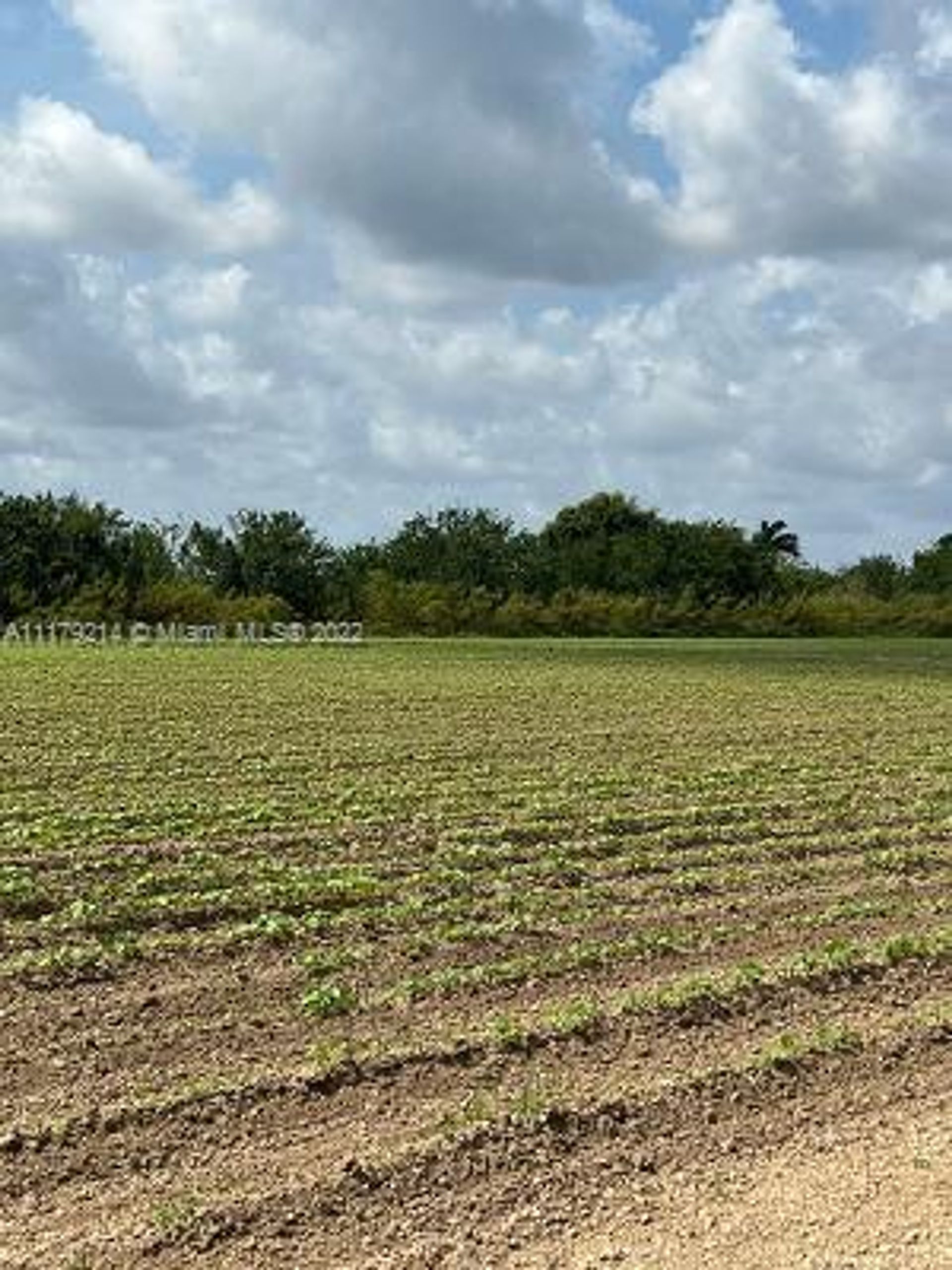 Tierra en Tierra roja, Florida 11622078