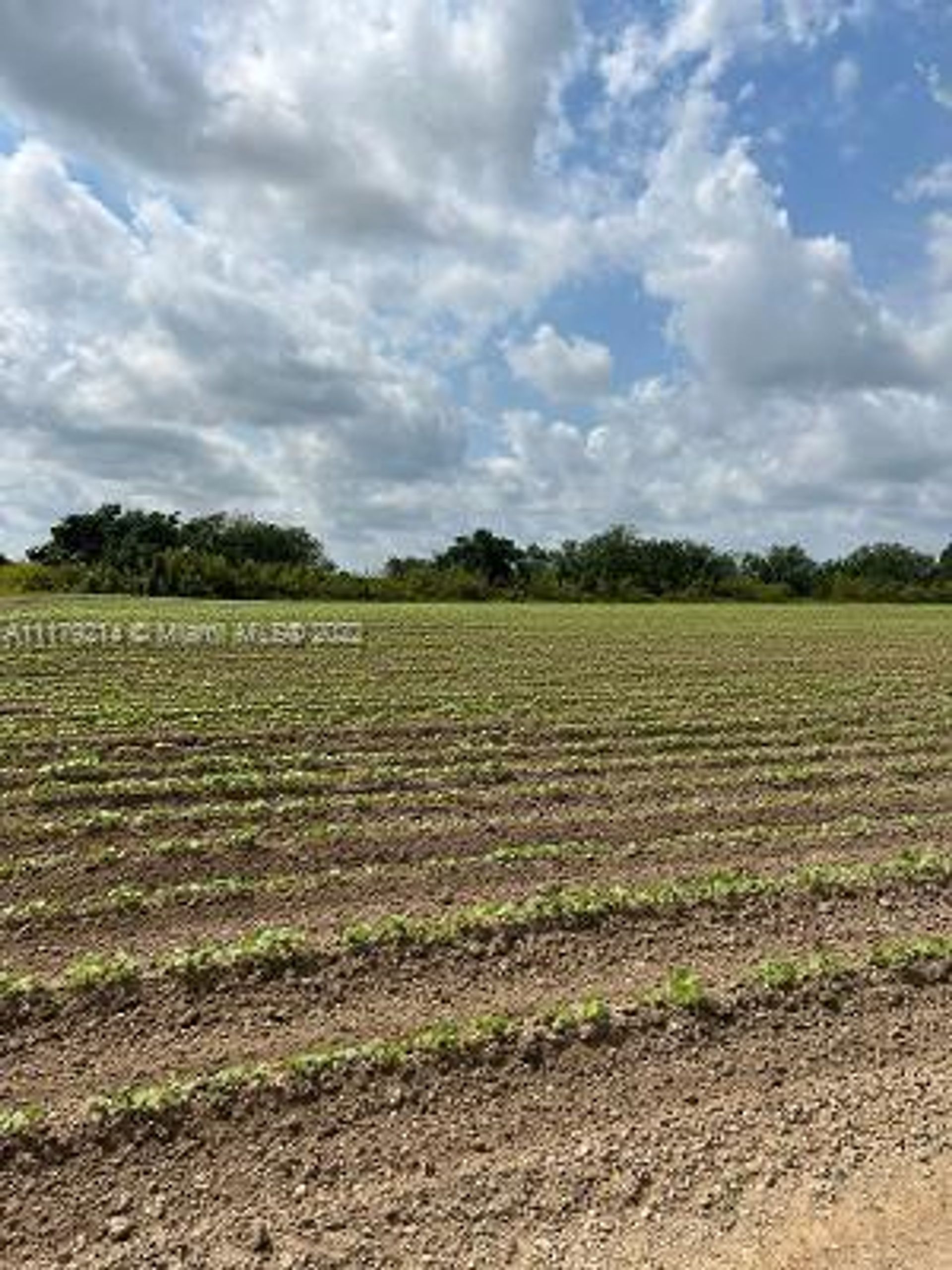 Land in Redland, Florida 11622078