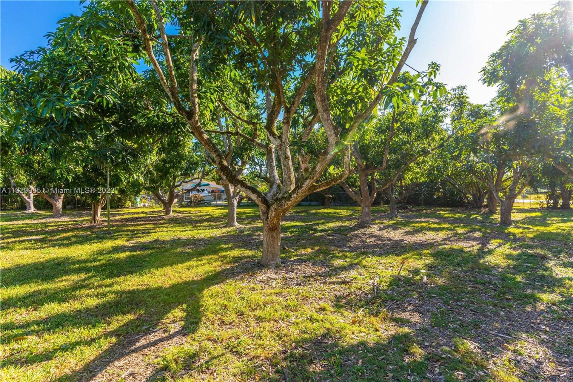 жилой дом в Homestead, Florida 11622122