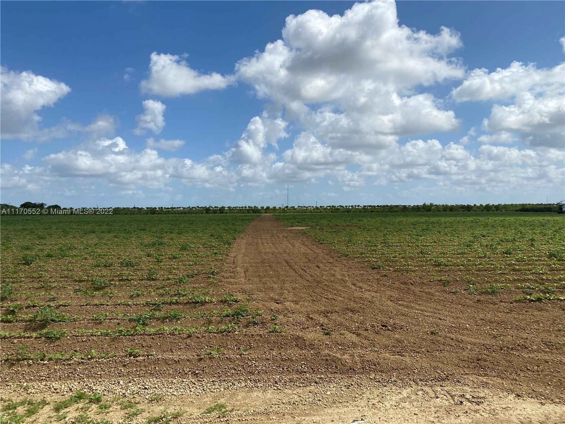 Land in Redland, Florida 11622132