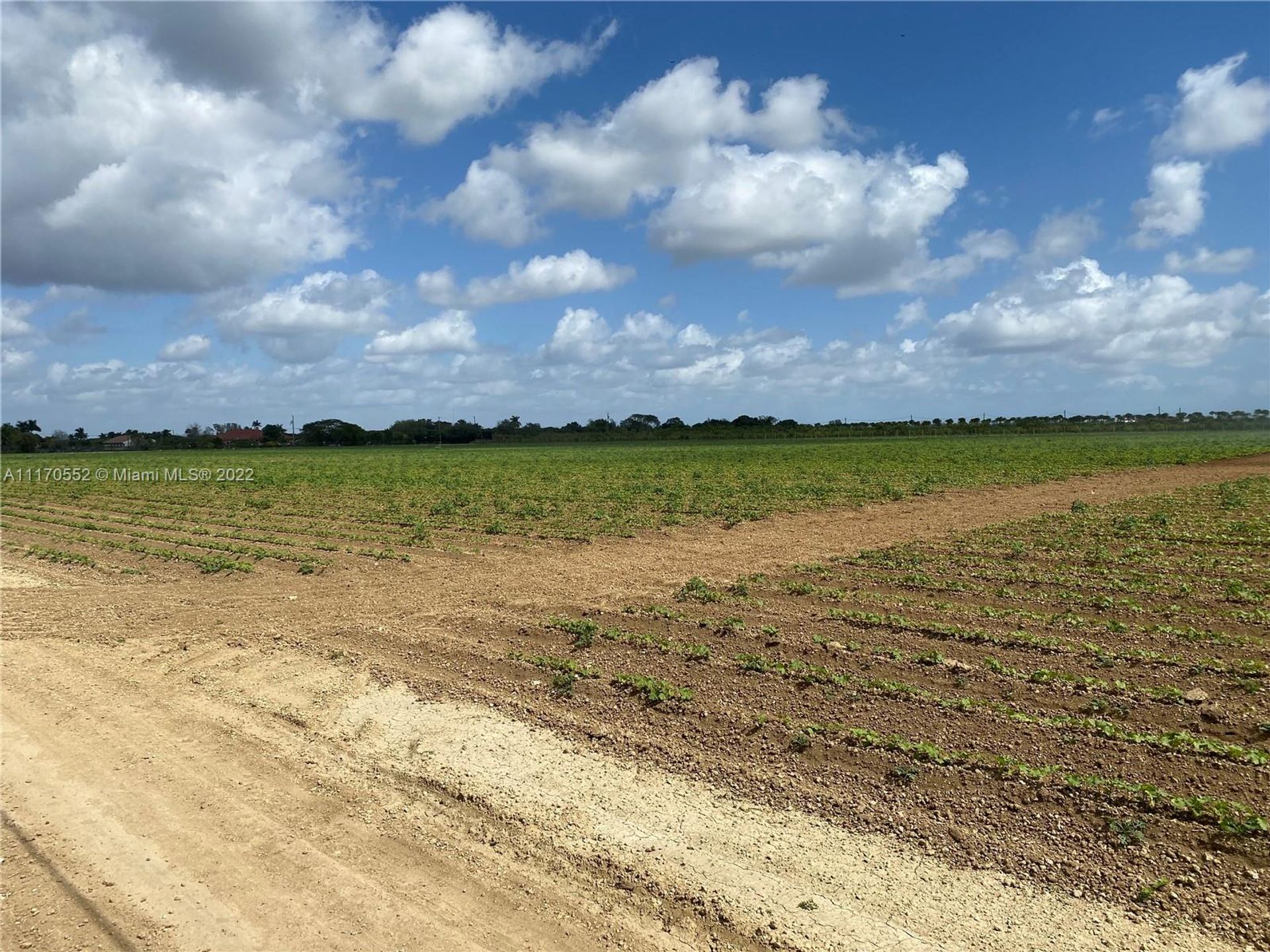 Tierra en Tierra roja, Florida 11622132