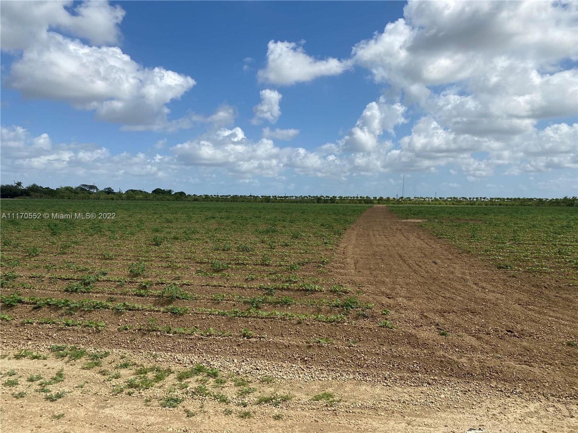 Tierra en Tierra roja, Florida 11622132