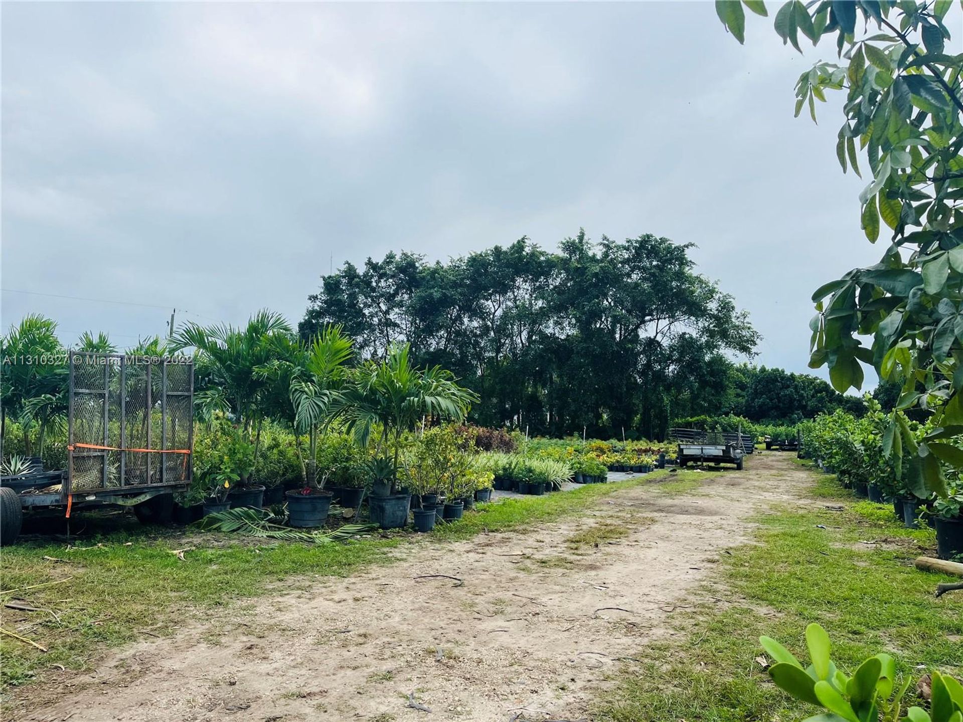 Tierra en Tierra roja, Florida 11622299