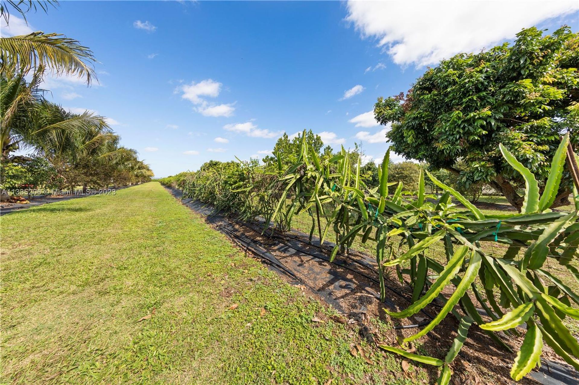 भूमि में Homestead, Florida 11622392