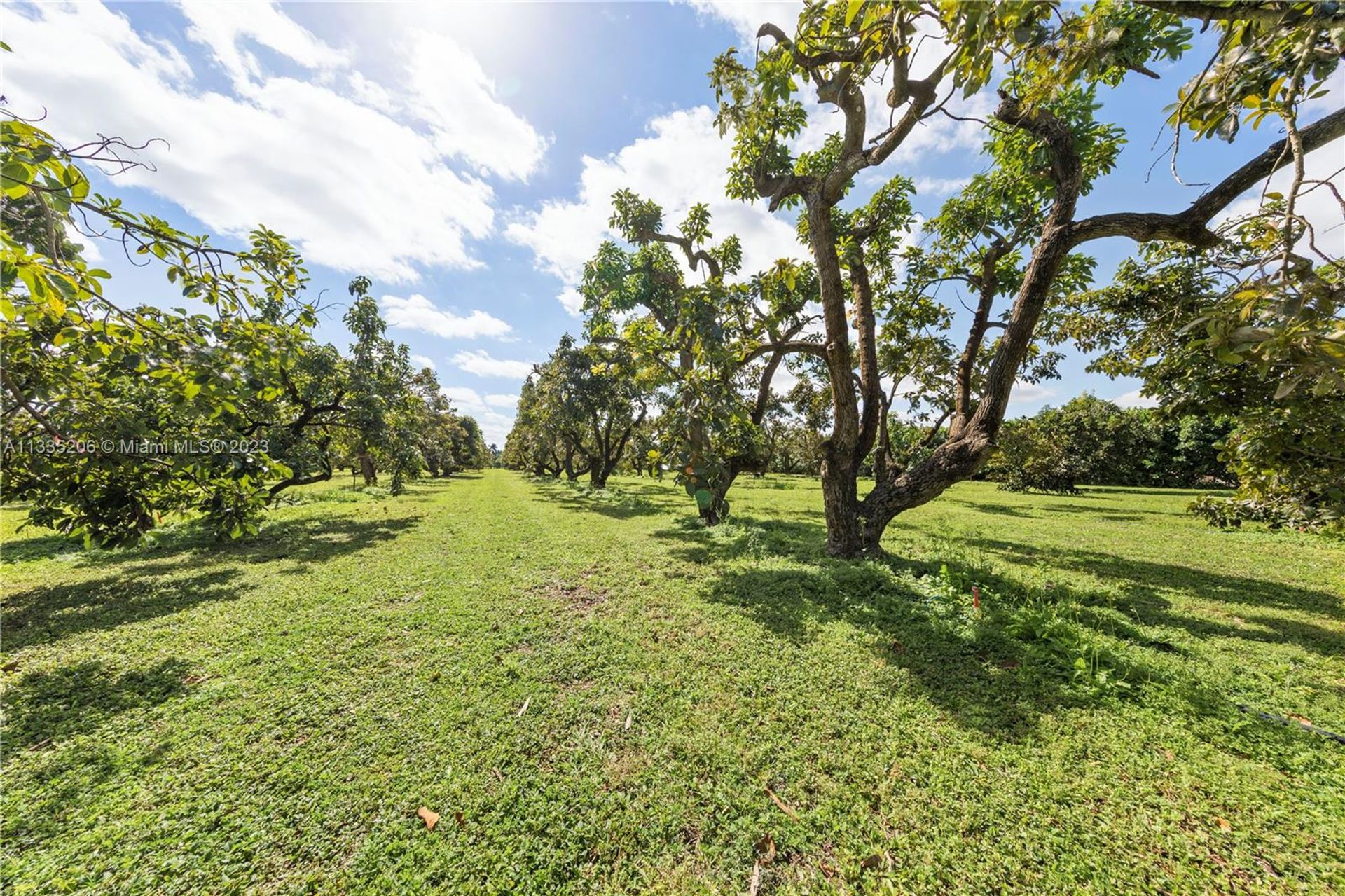 Γη σε Homestead, Florida 11622392