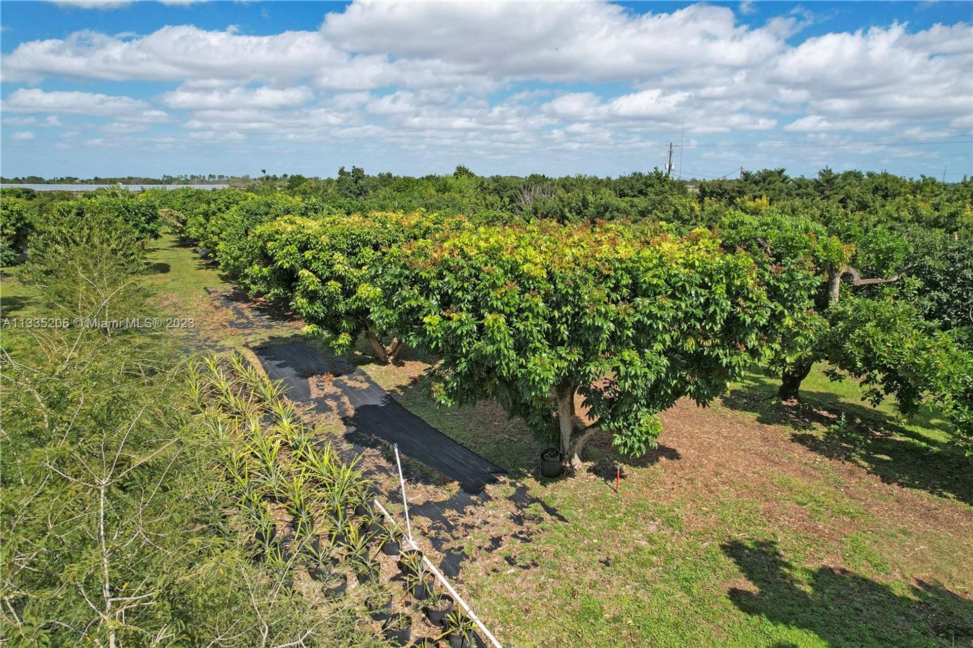 Γη σε Homestead, Florida 11622392