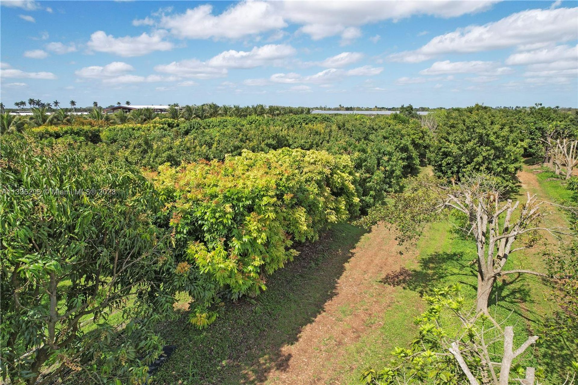 Γη σε Homestead, Florida 11622392