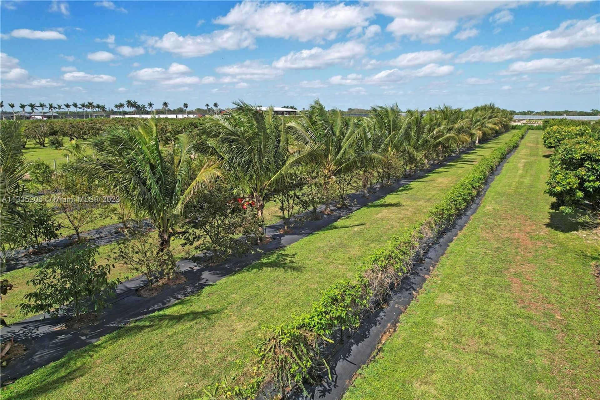 Γη σε Homestead, Florida 11622392