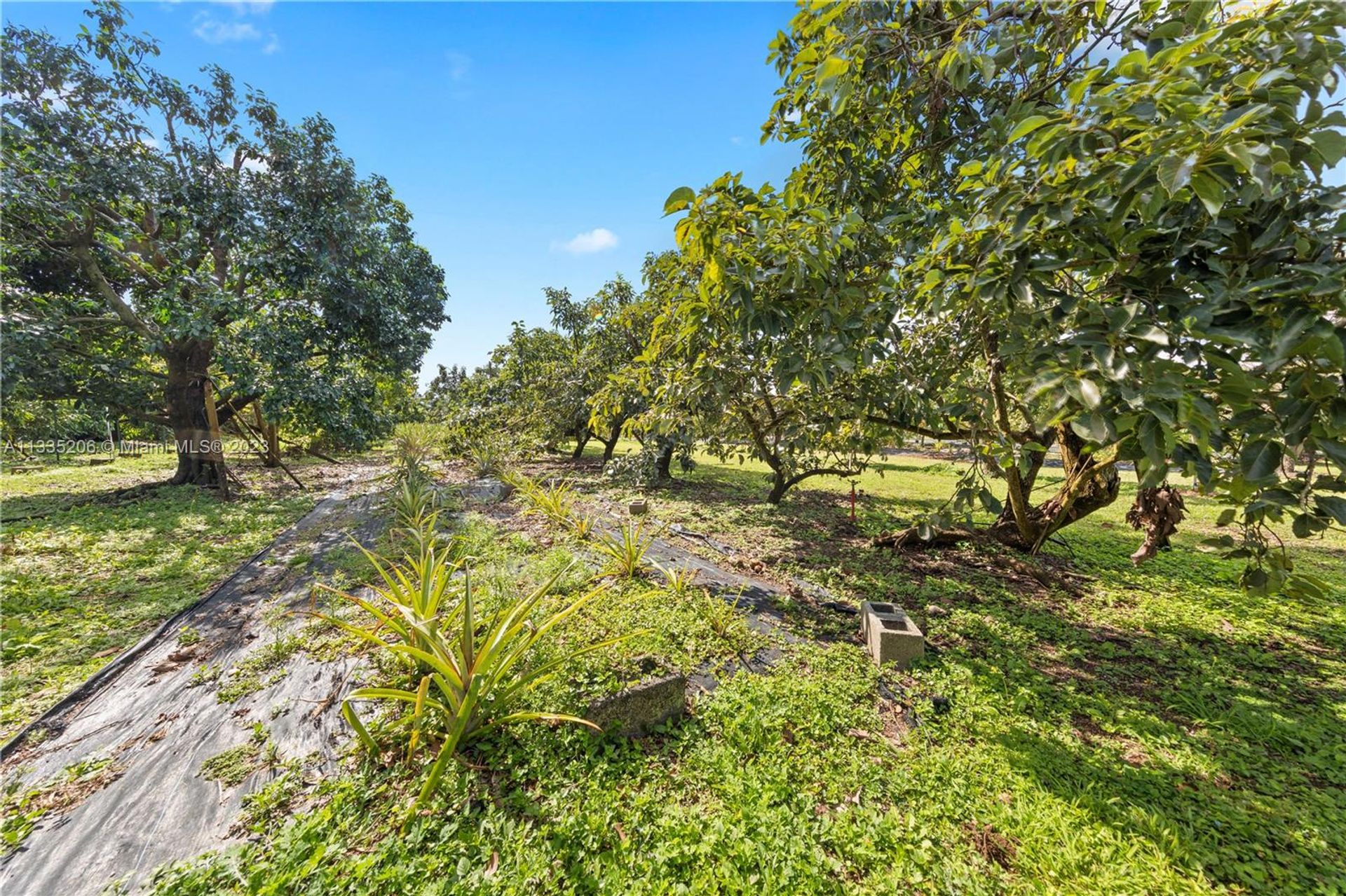 Γη σε Homestead, Florida 11622392