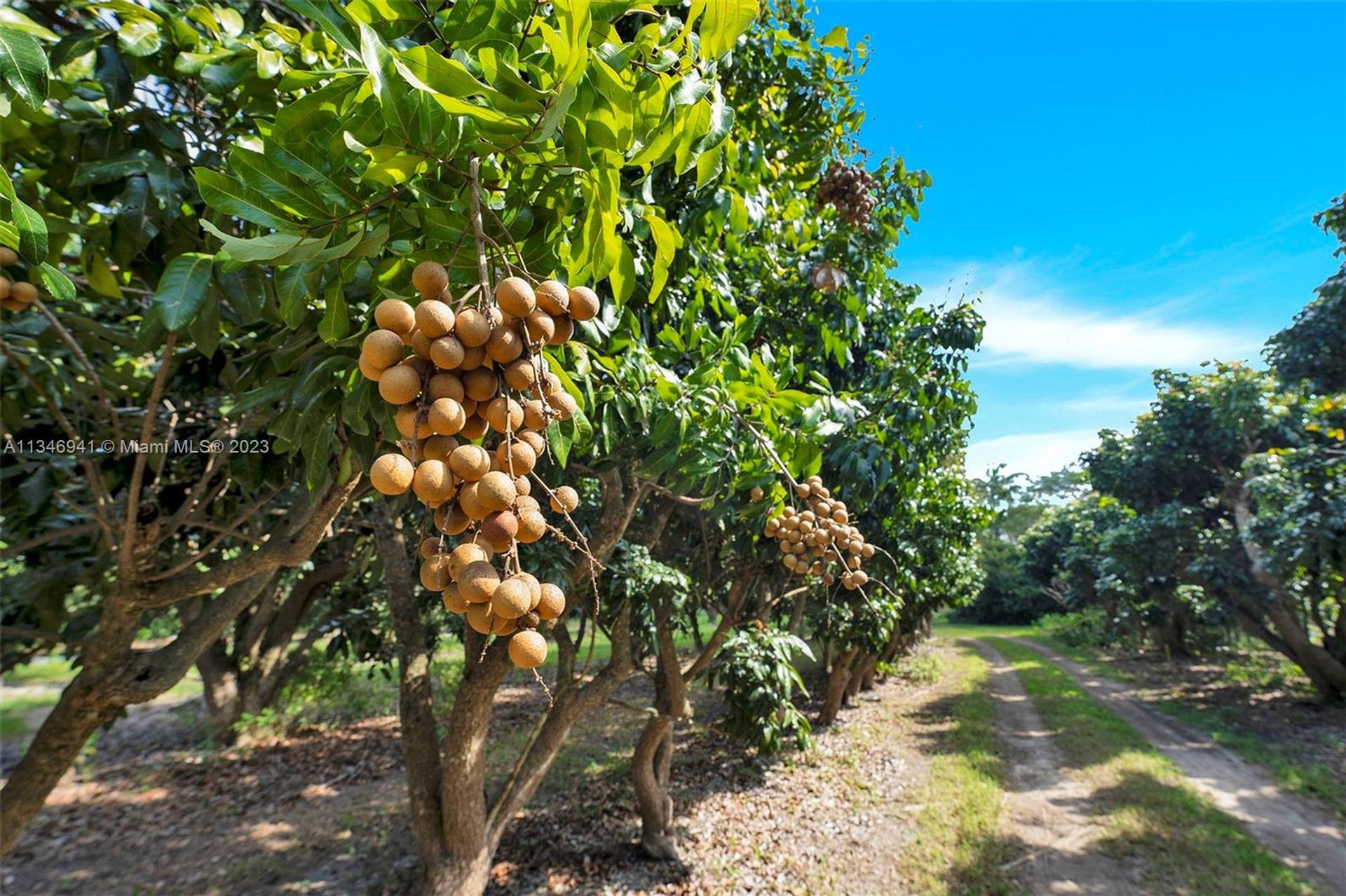 Tierra en Goulds, Florida 11622544