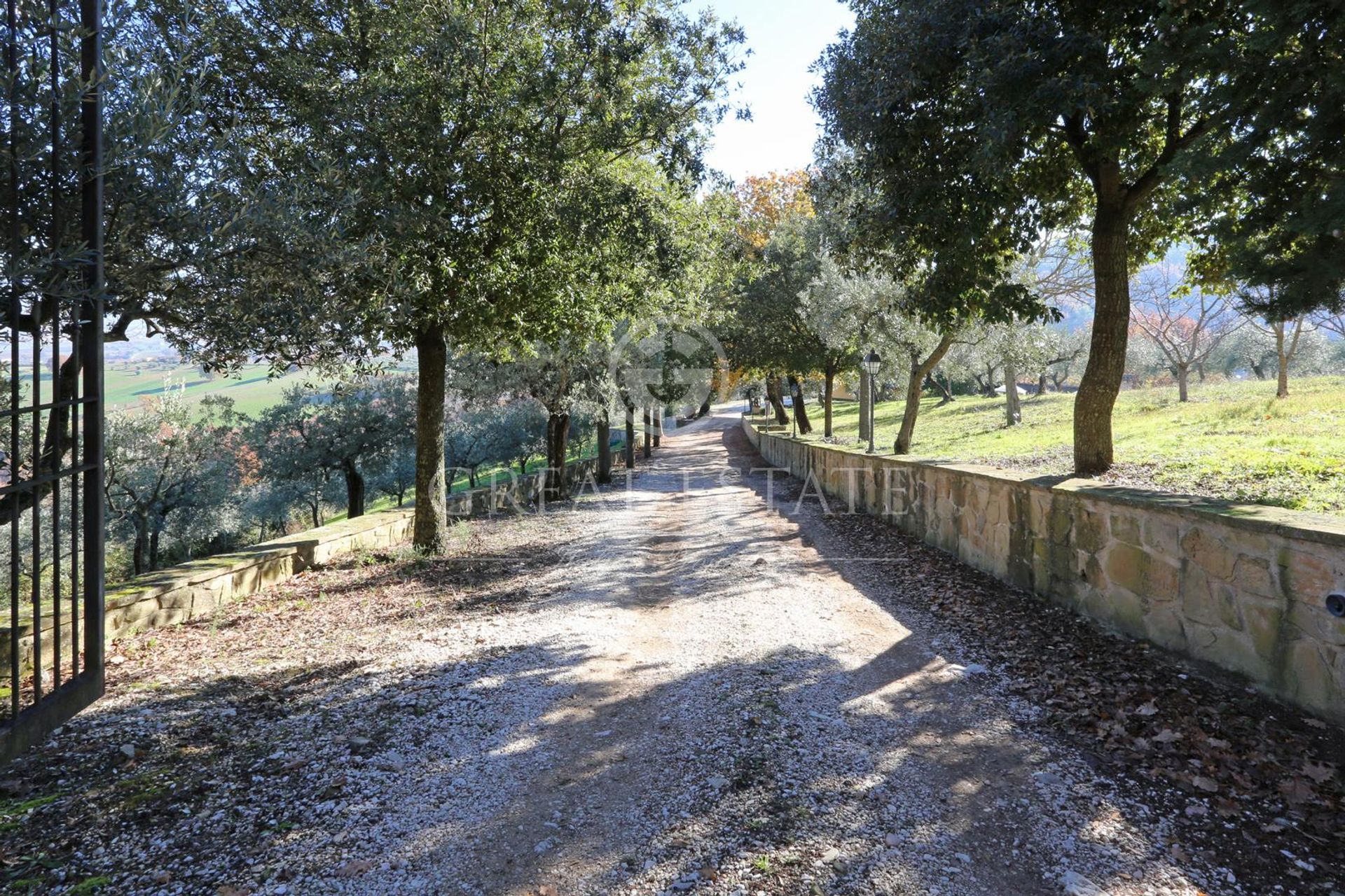 Будинок в Cannara, Umbria 11623292