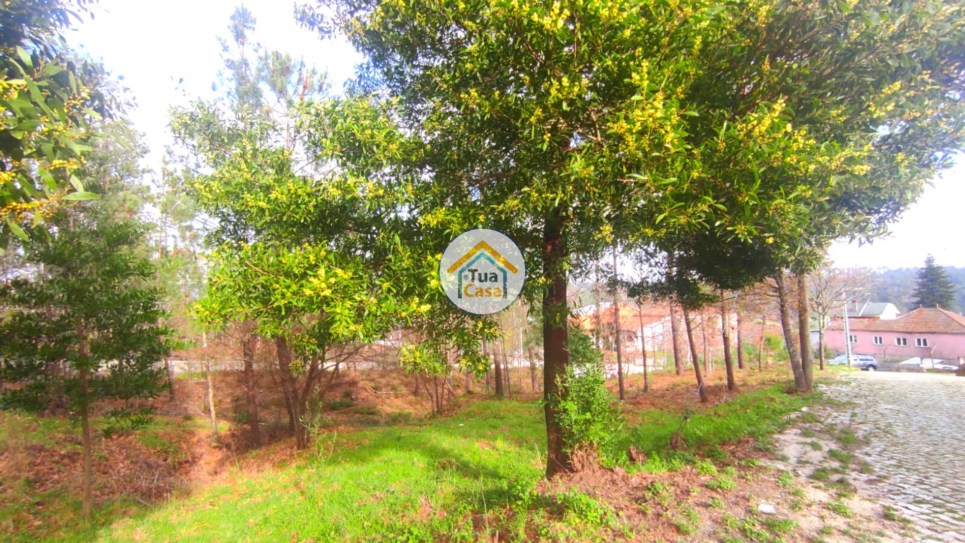 Land in Calde, Viseu 11623458