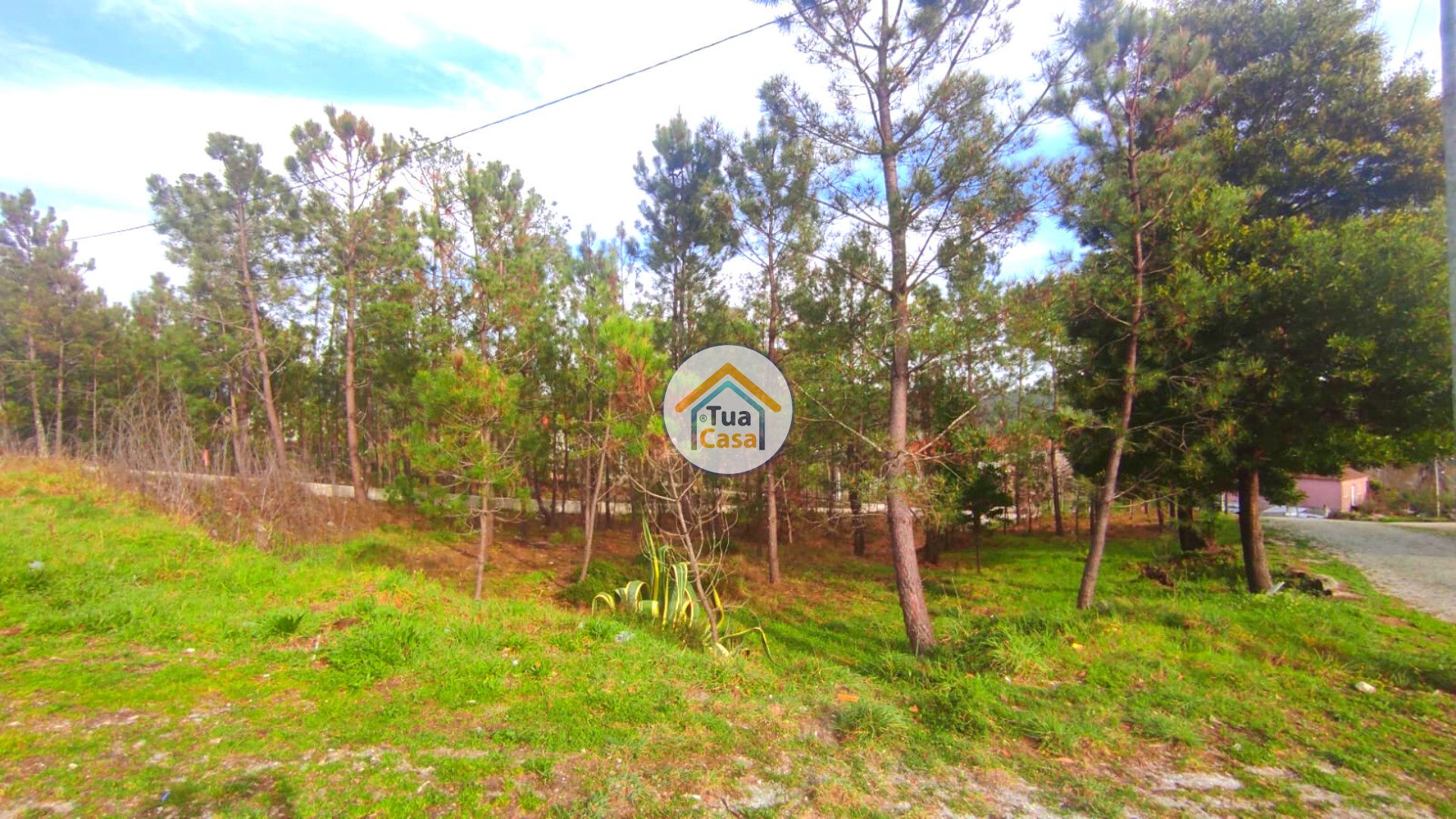 Land in Calde, Viseu 11623458