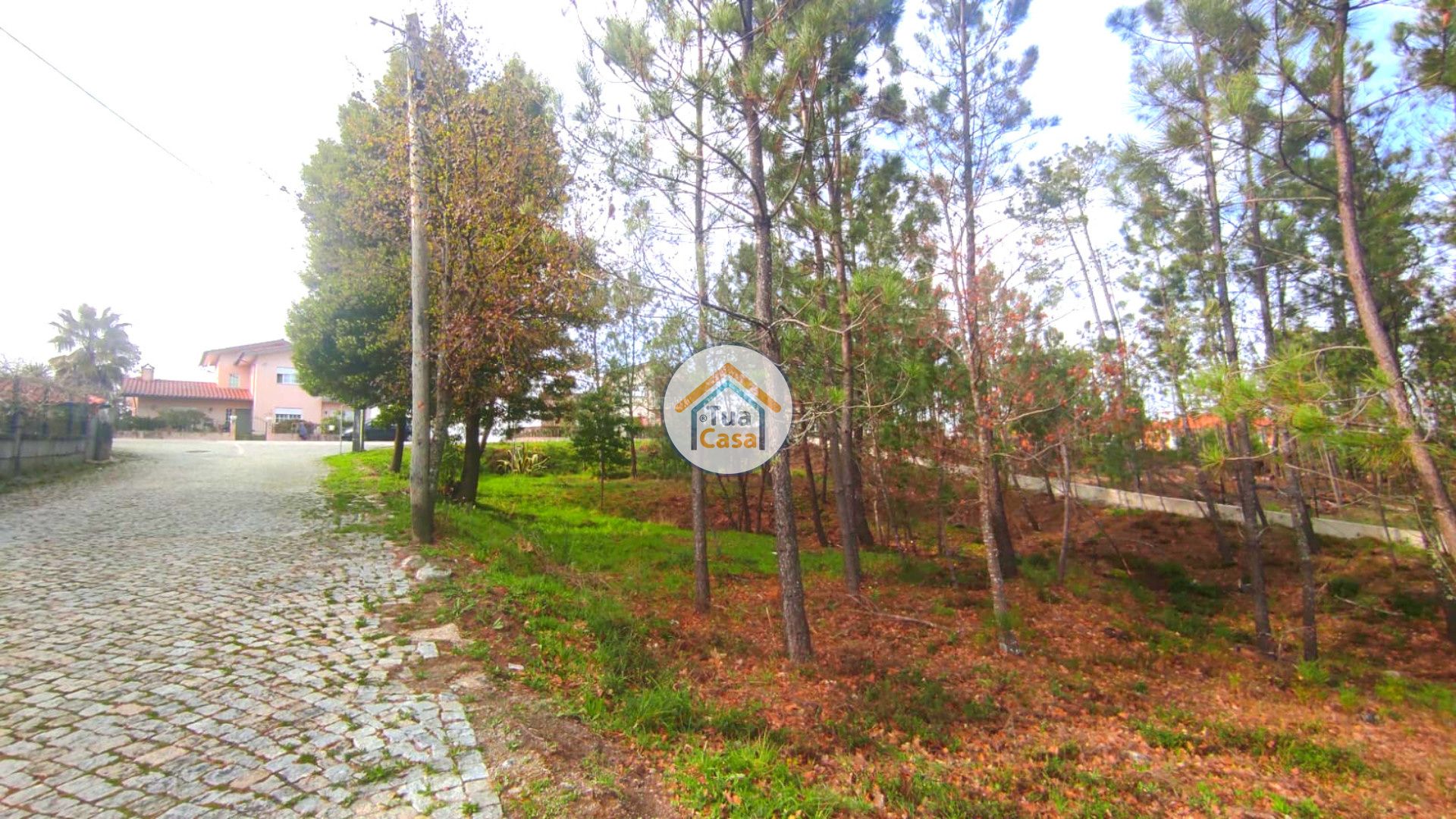 Land in Calde, Viseu 11623458