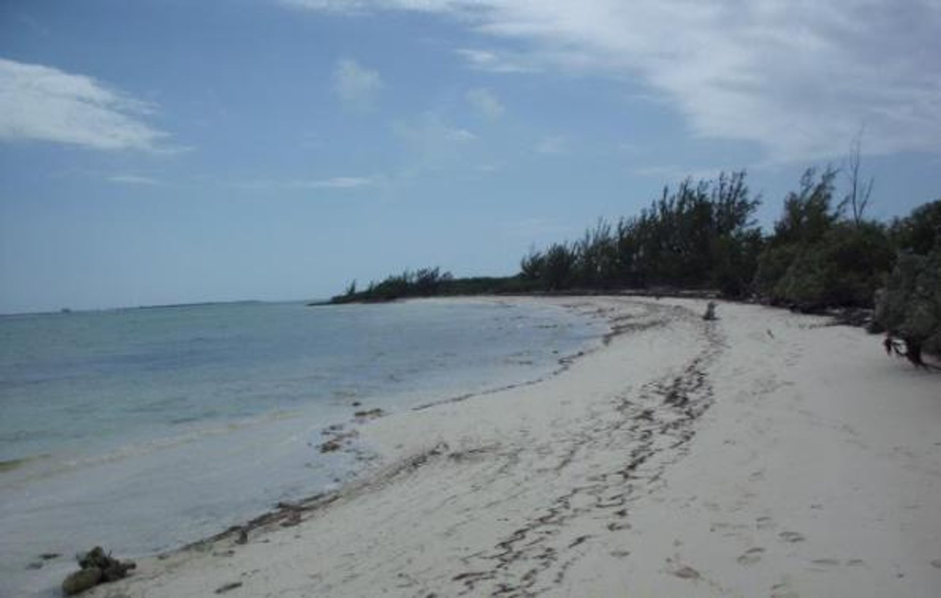 Terre dans Port des marais, Abaco central 11625641