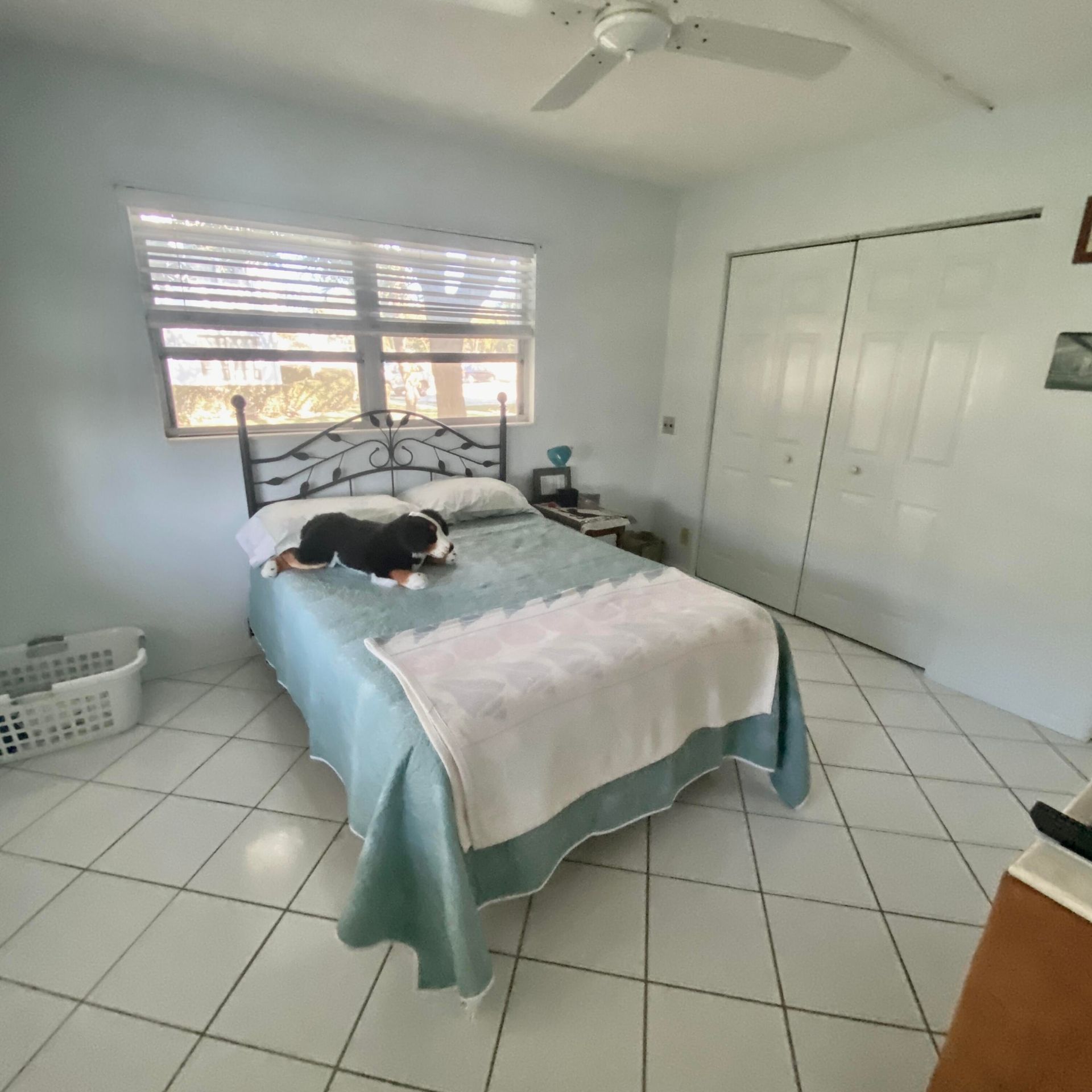 Condominium dans Deerfield Beach, Florida 11625687