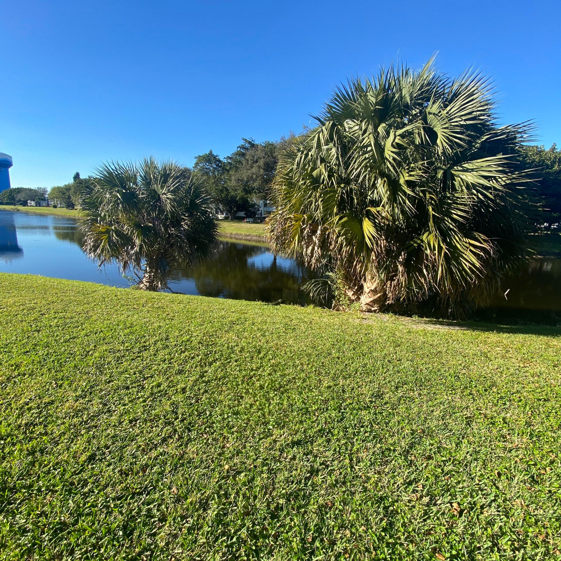 Квартира в Deerfield Beach, Florida 11625687