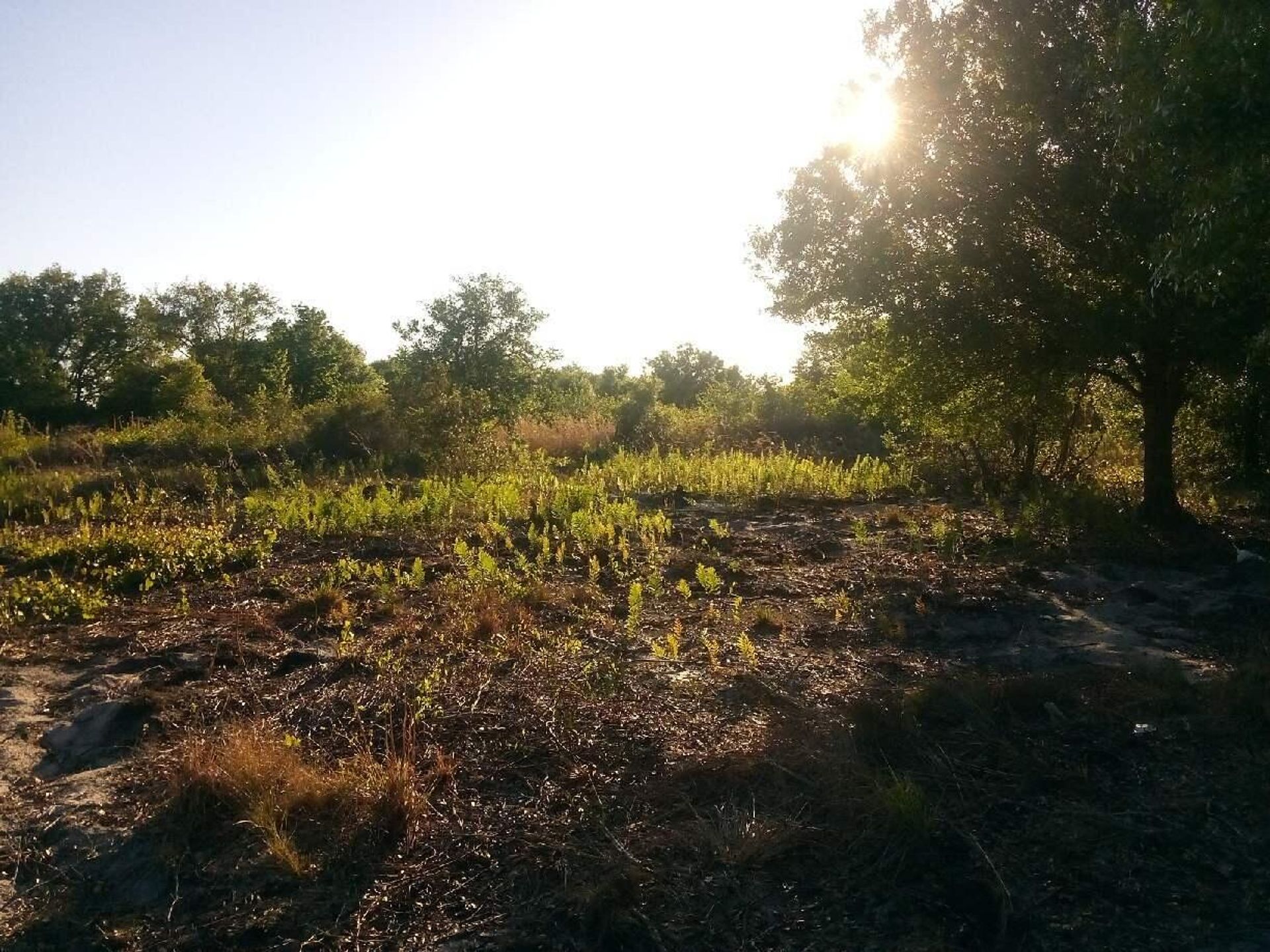 Terra no Fort Kissimmee, Flórida 11625793