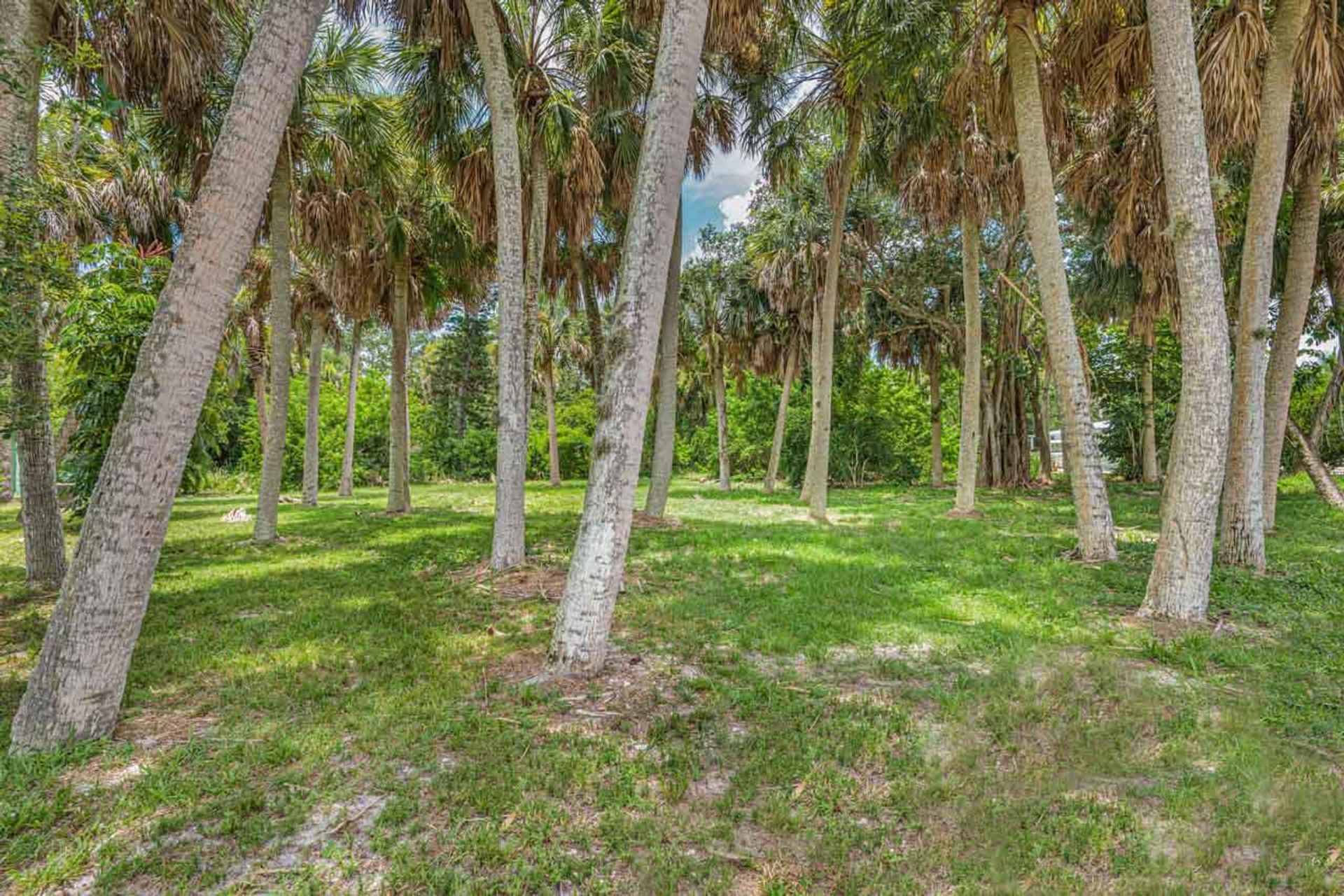 Land in Stuart, Florida 11625826