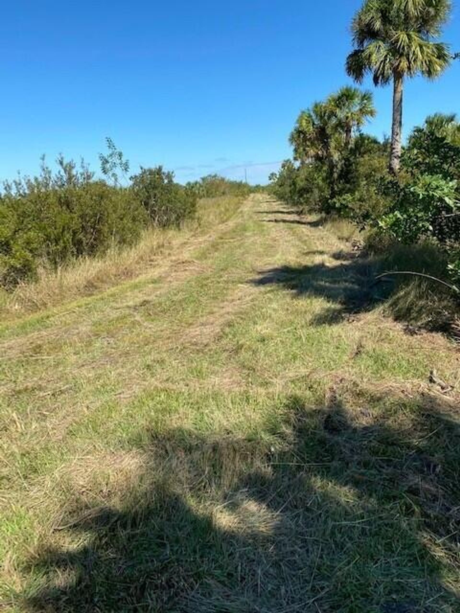 商業的 在 Okeechobee, Florida 11625834