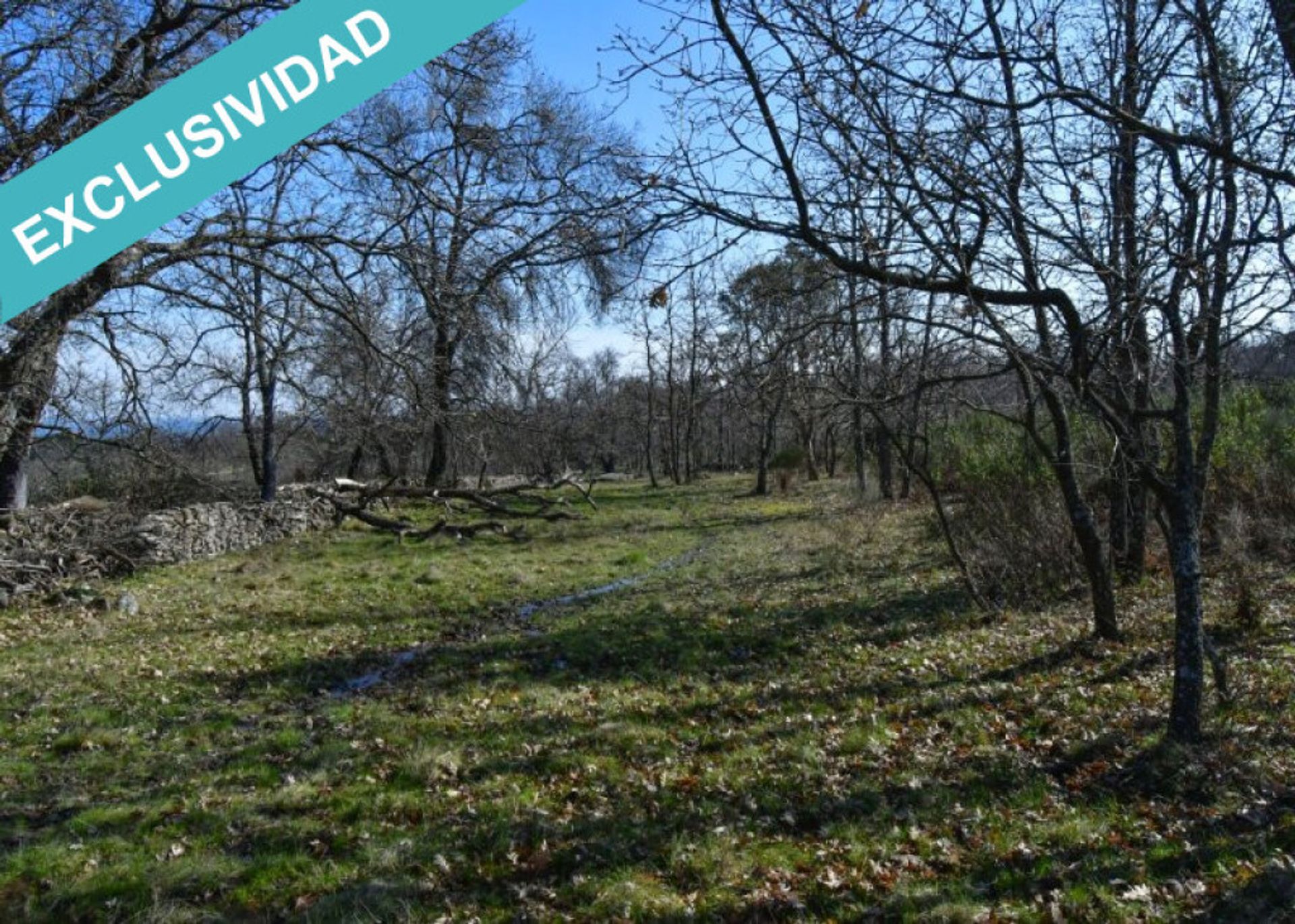 Land in Perales del Puerto, Extremadura 11625909