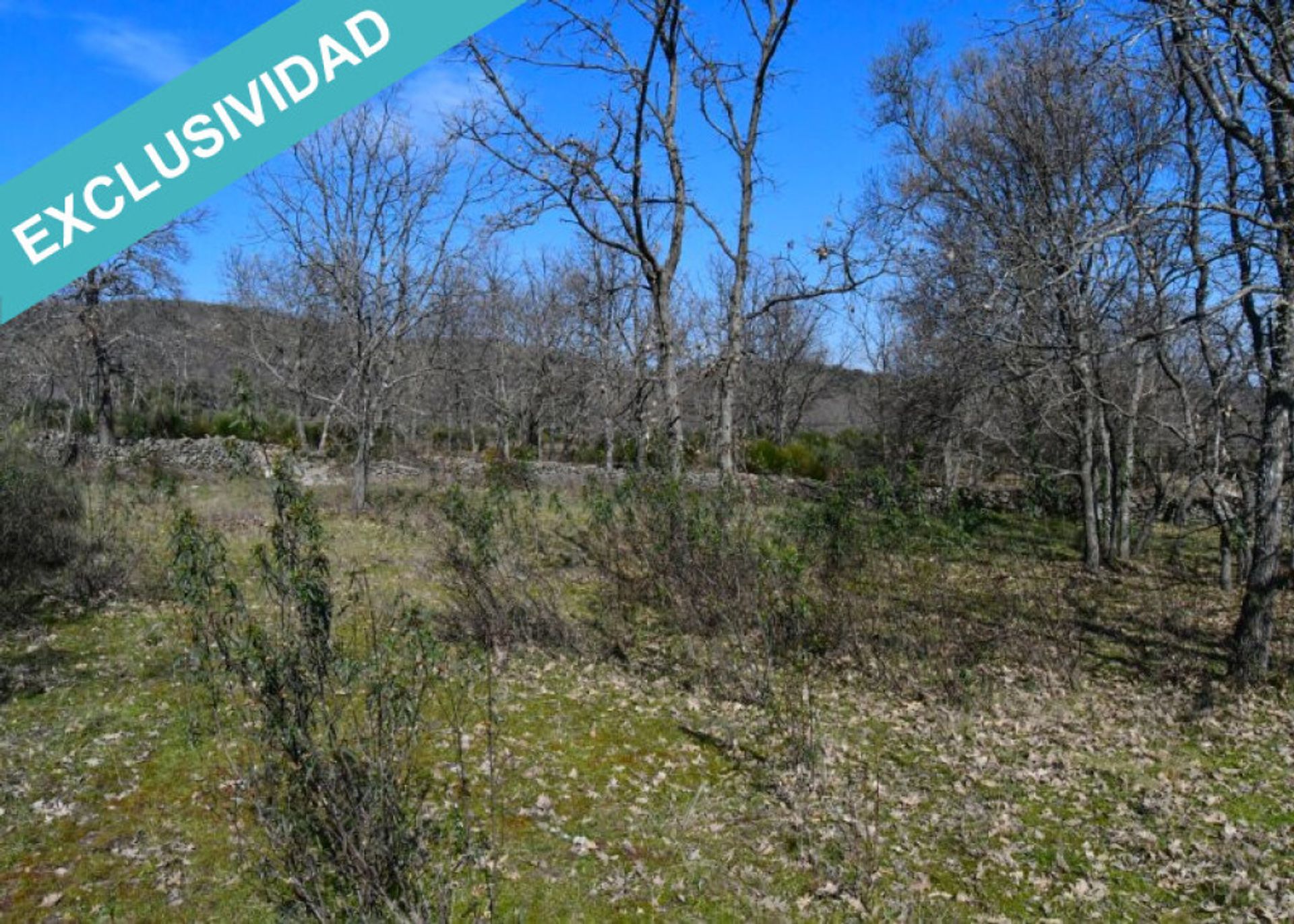 Land in Perales del Puerto, Extremadura 11625909