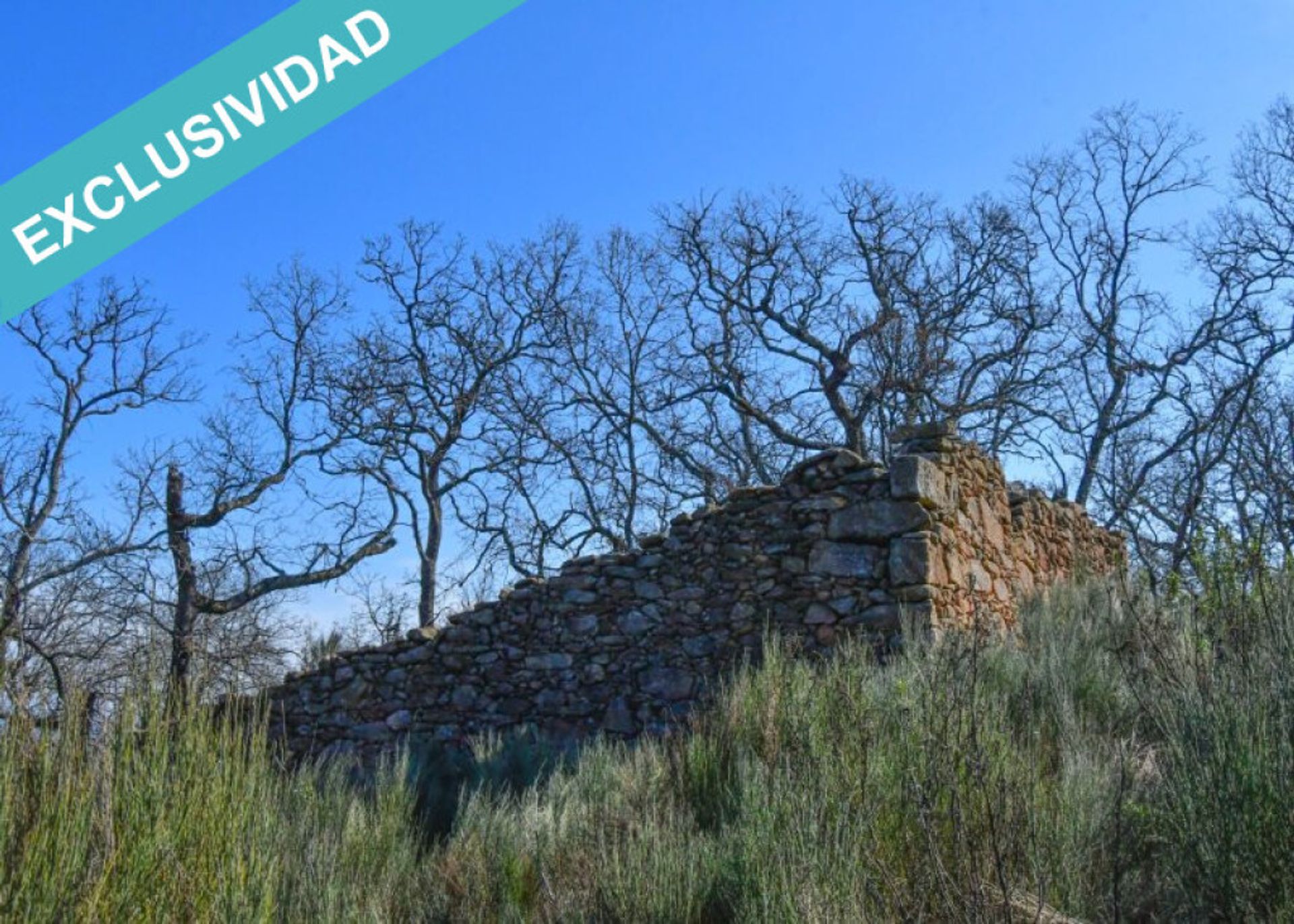 Land in Perales del Puerto, Extremadura 11625909