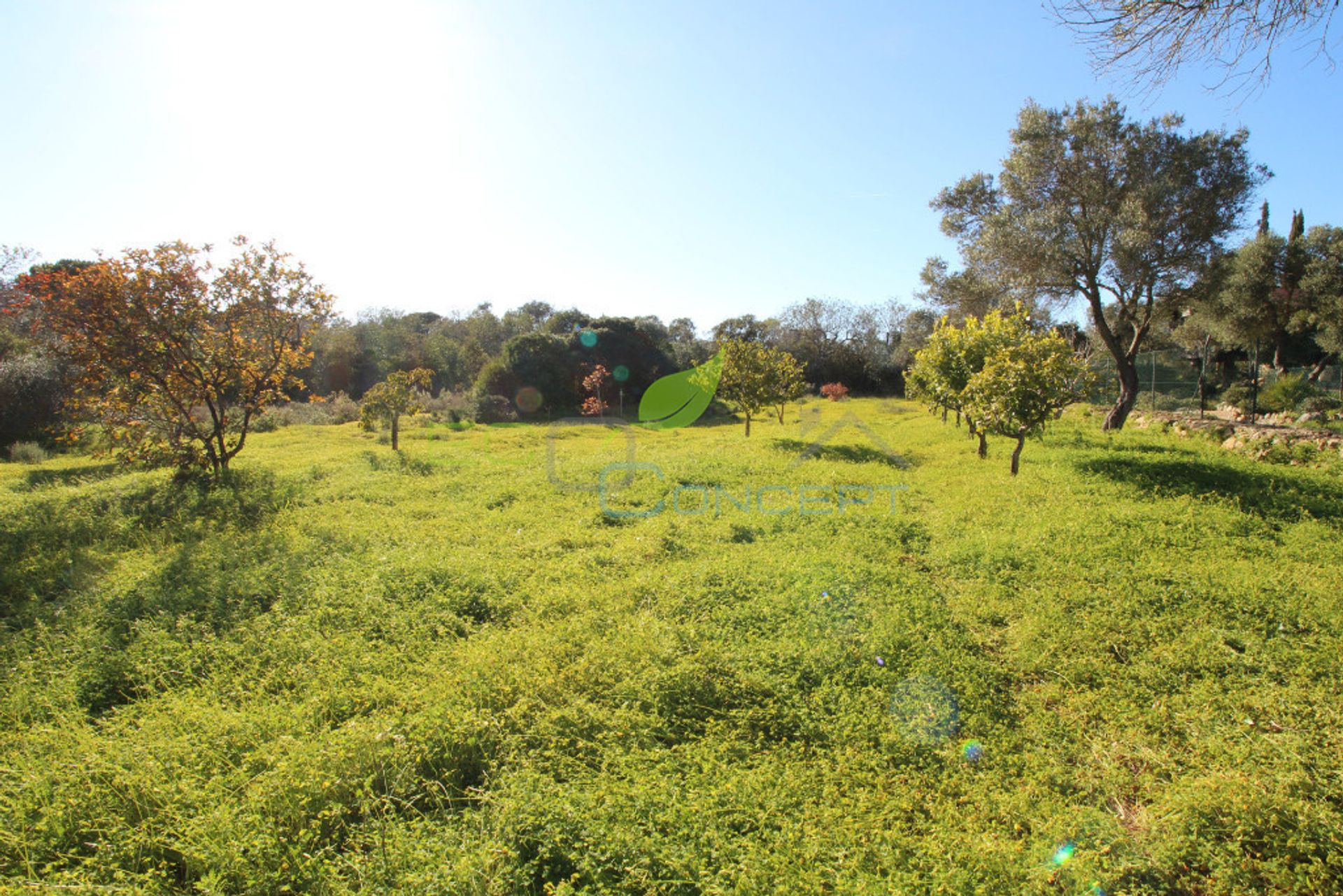 بيت في Fuseta, Faro District 11627001