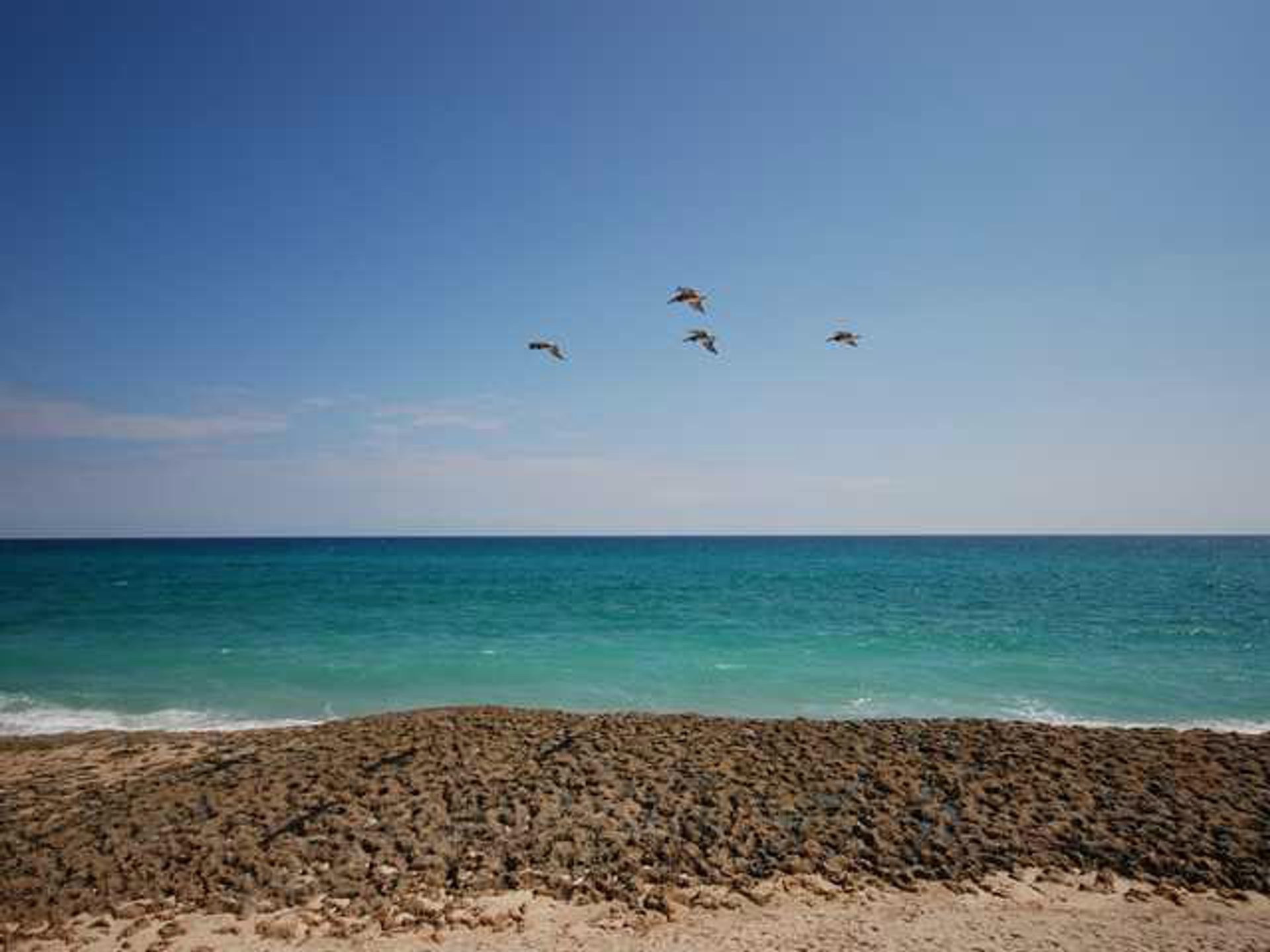 Casa nel Riviera Beach, Florida 11627162