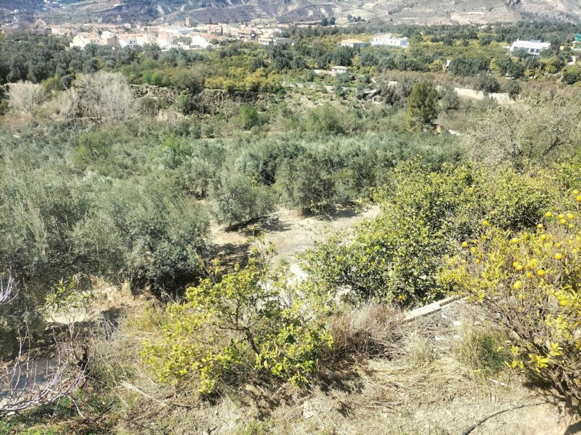 Casa nel Lecrín, Andalucía 11627302