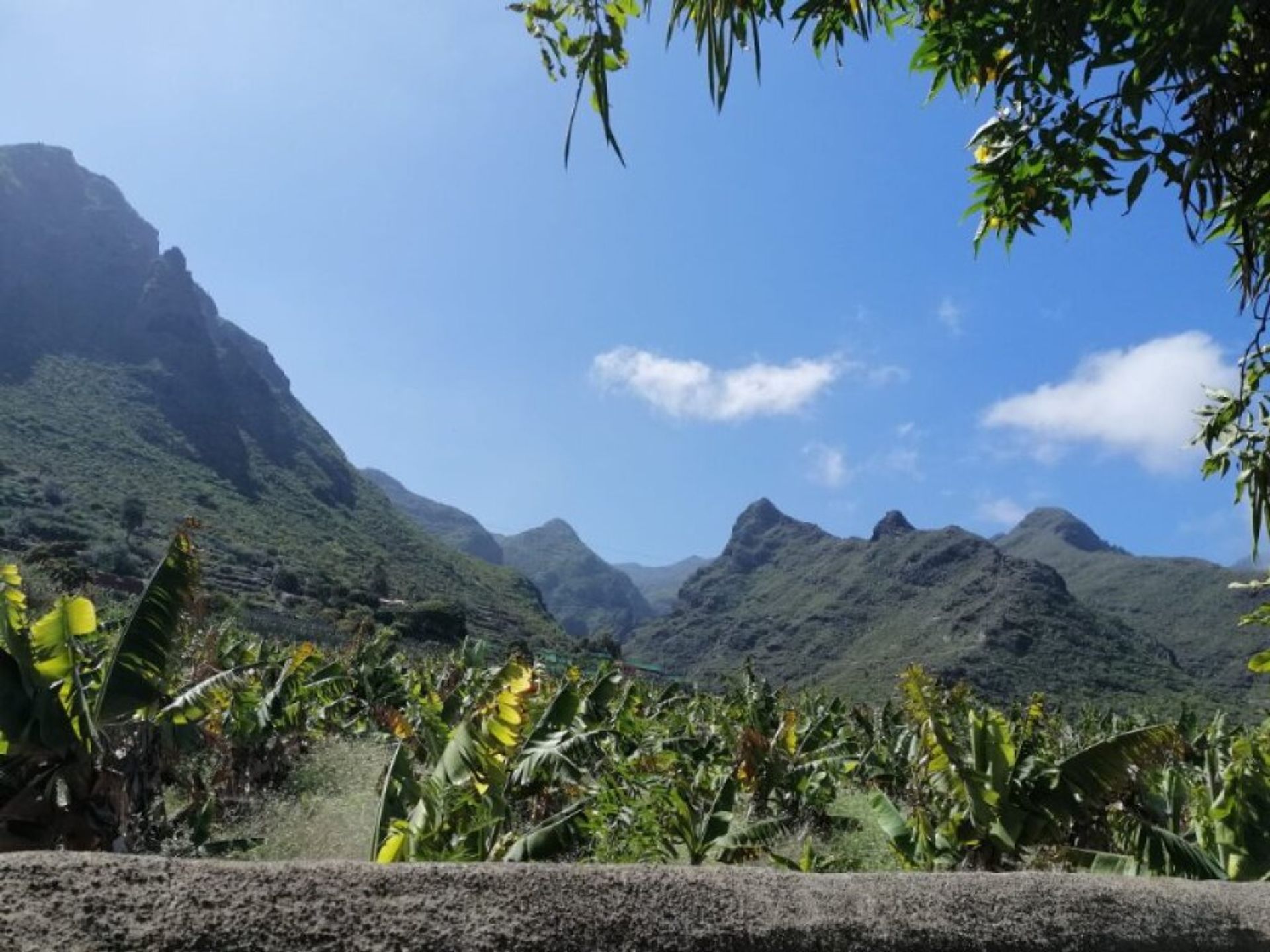 公寓 在 Los Silos, Canarias 11628488