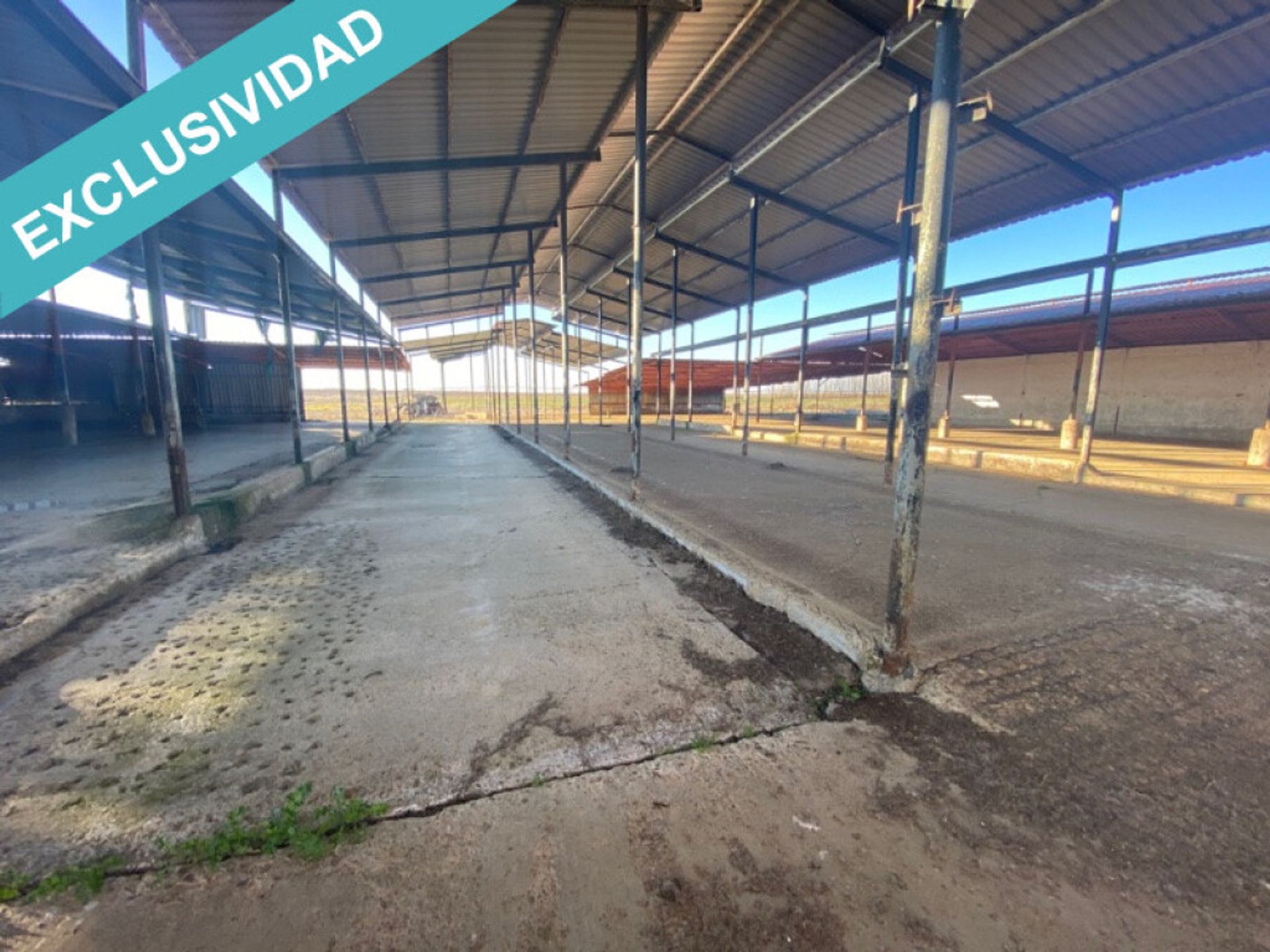 Industrial in Melgar de Arriba, Castille-Leon 11628491