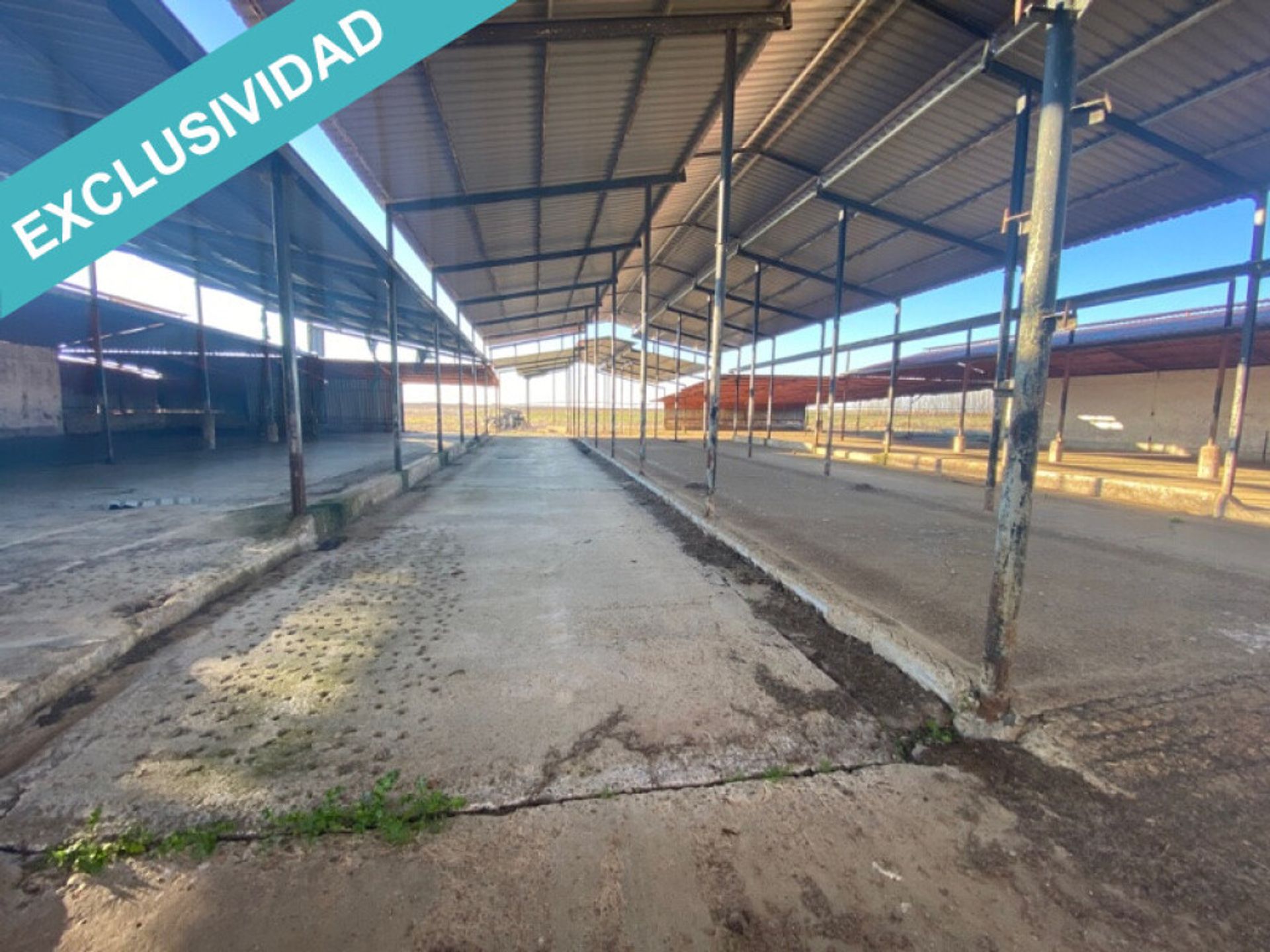 Industrial in Melgar de Arriba, Castille-Leon 11628491