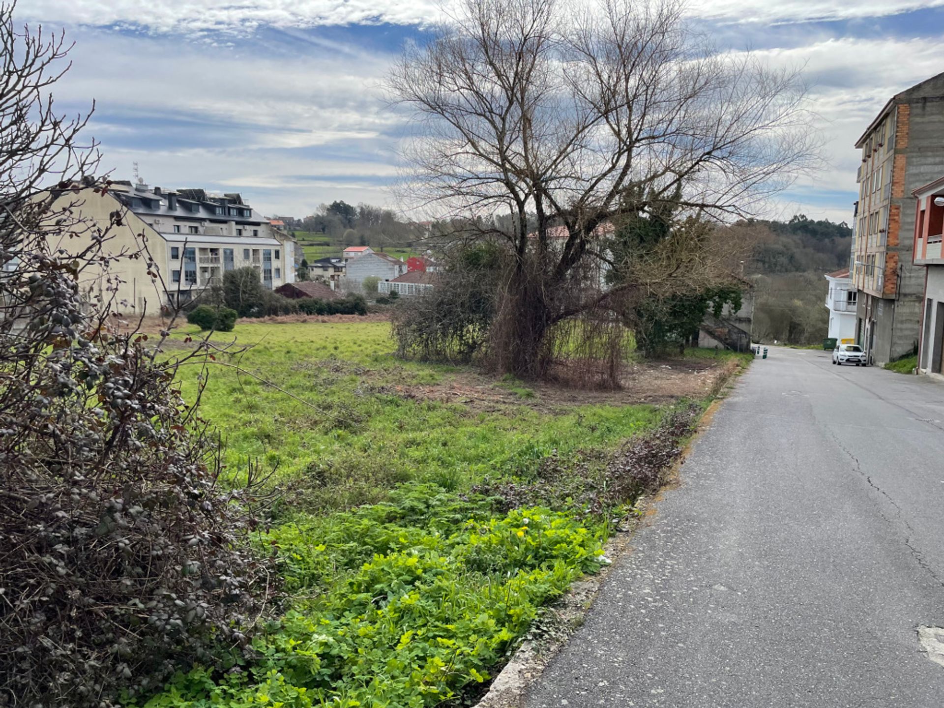 Terre dans O Carballiño, Galicia 11628499