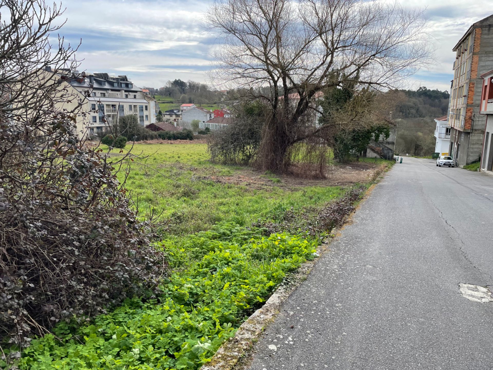 Tanah dalam O Carballiño, Galicia 11628499