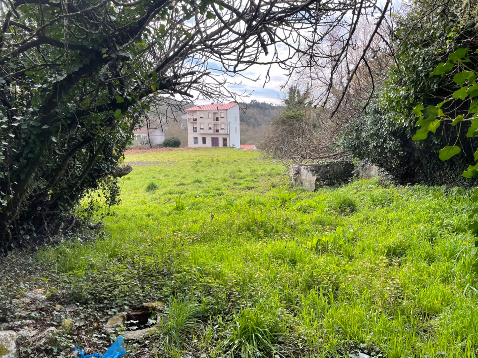 Tierra en Carballiño, Galicia 11628499