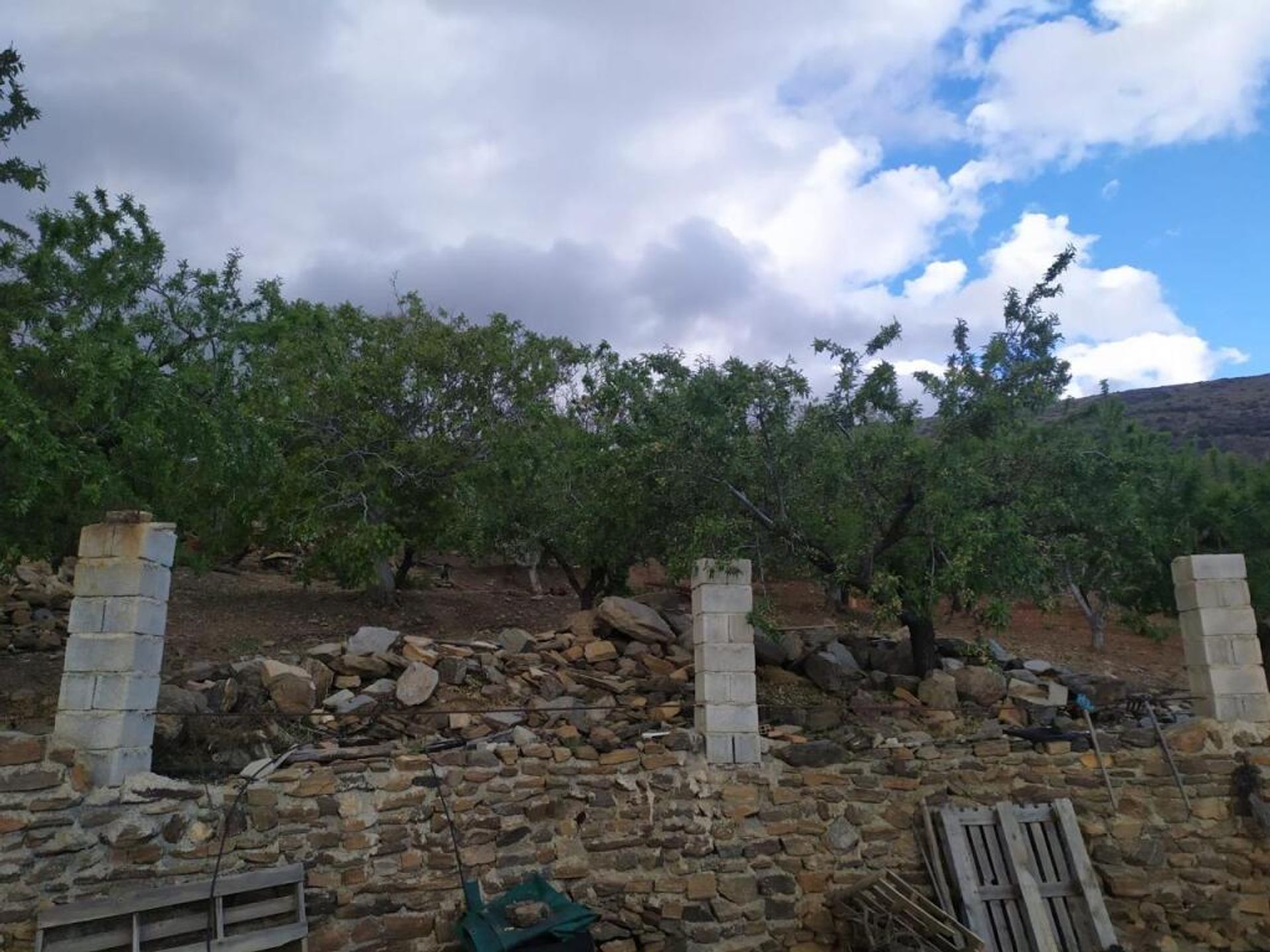 House in Lecrín, Andalucía 11628542