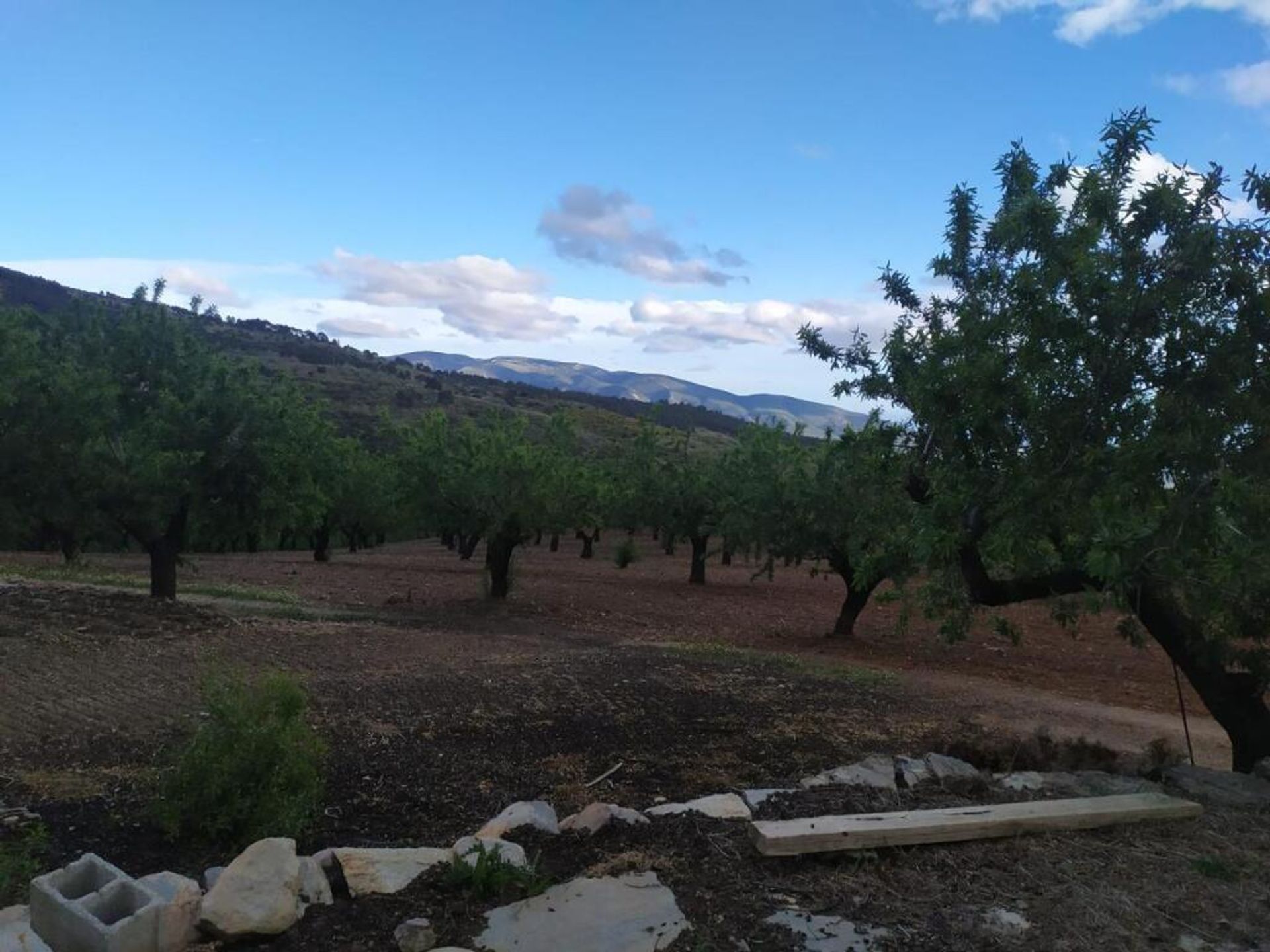 House in Lecrín, Andalucía 11628542