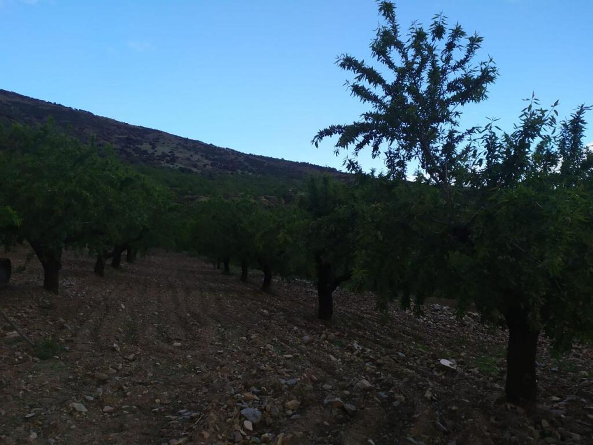 casa en Lecrín, Andalucía 11628542