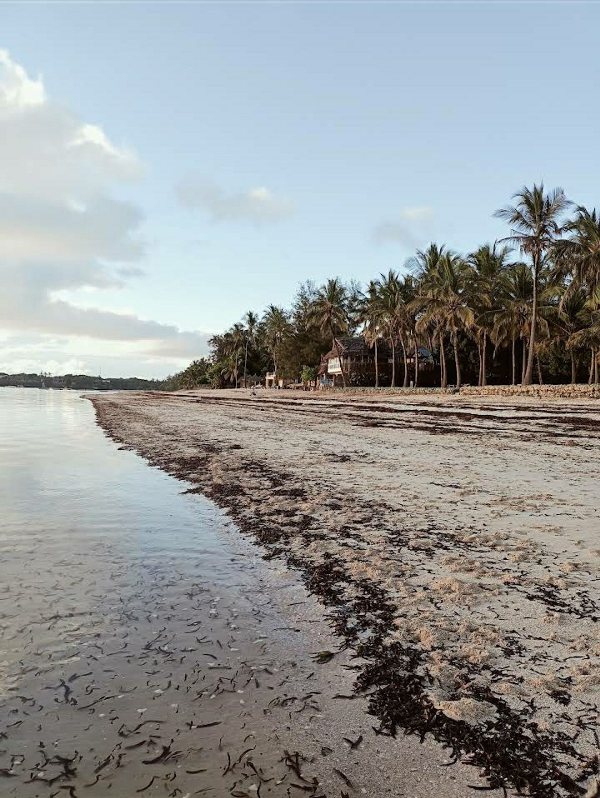 其他 在 Watamu, Kilifi County 11628948