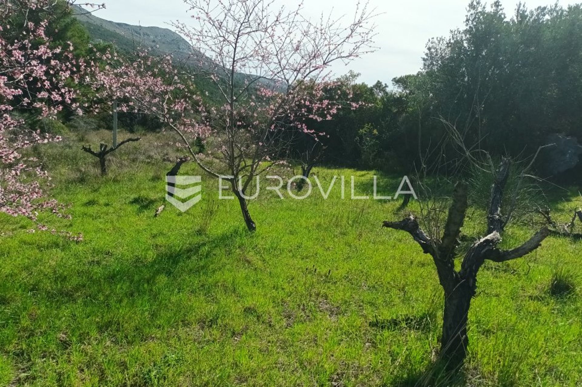 Land in Strozanac, Splitsko-Dalmatinska Zupanija 11628986