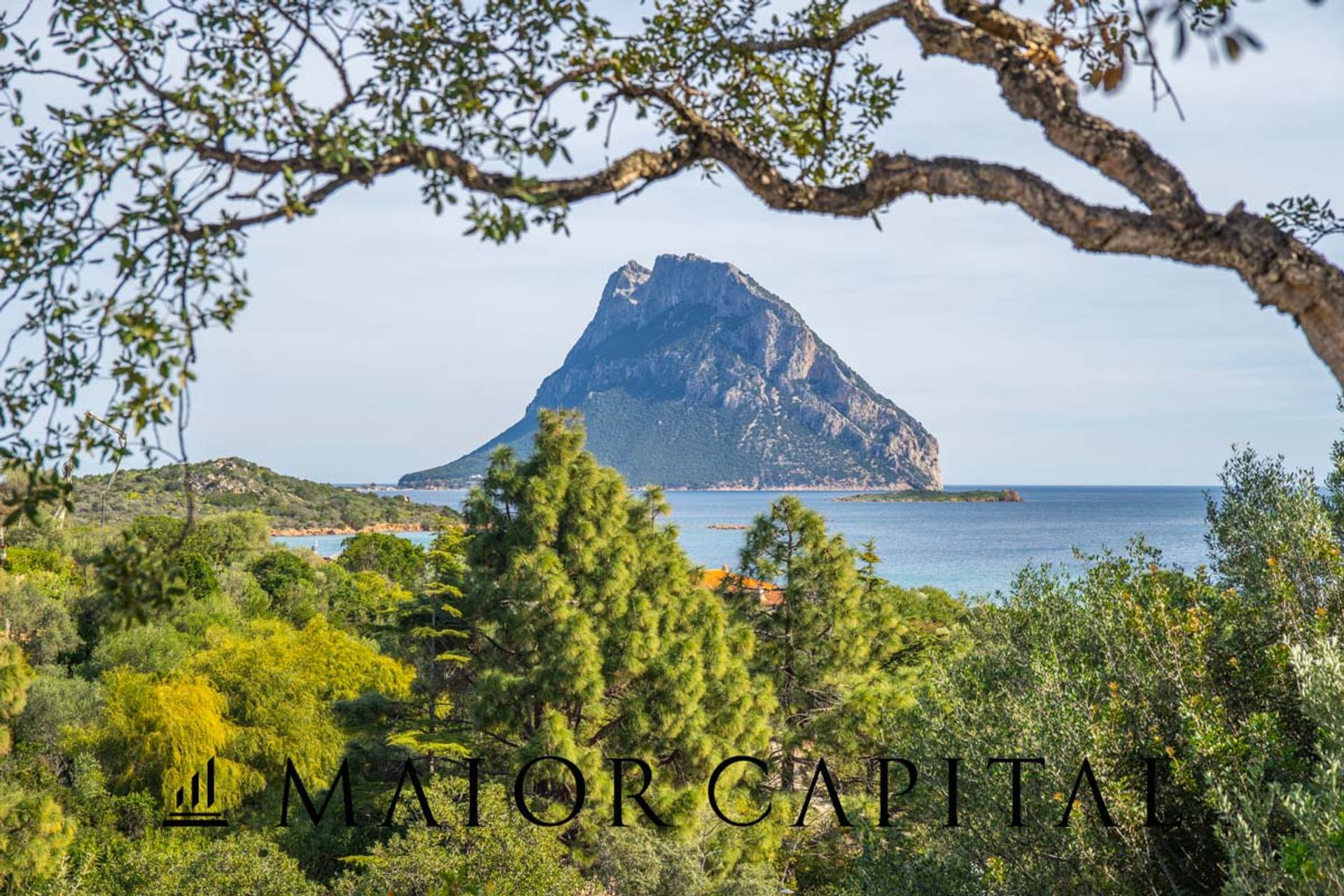 Casa nel Arzachena, Sardinia 11629029