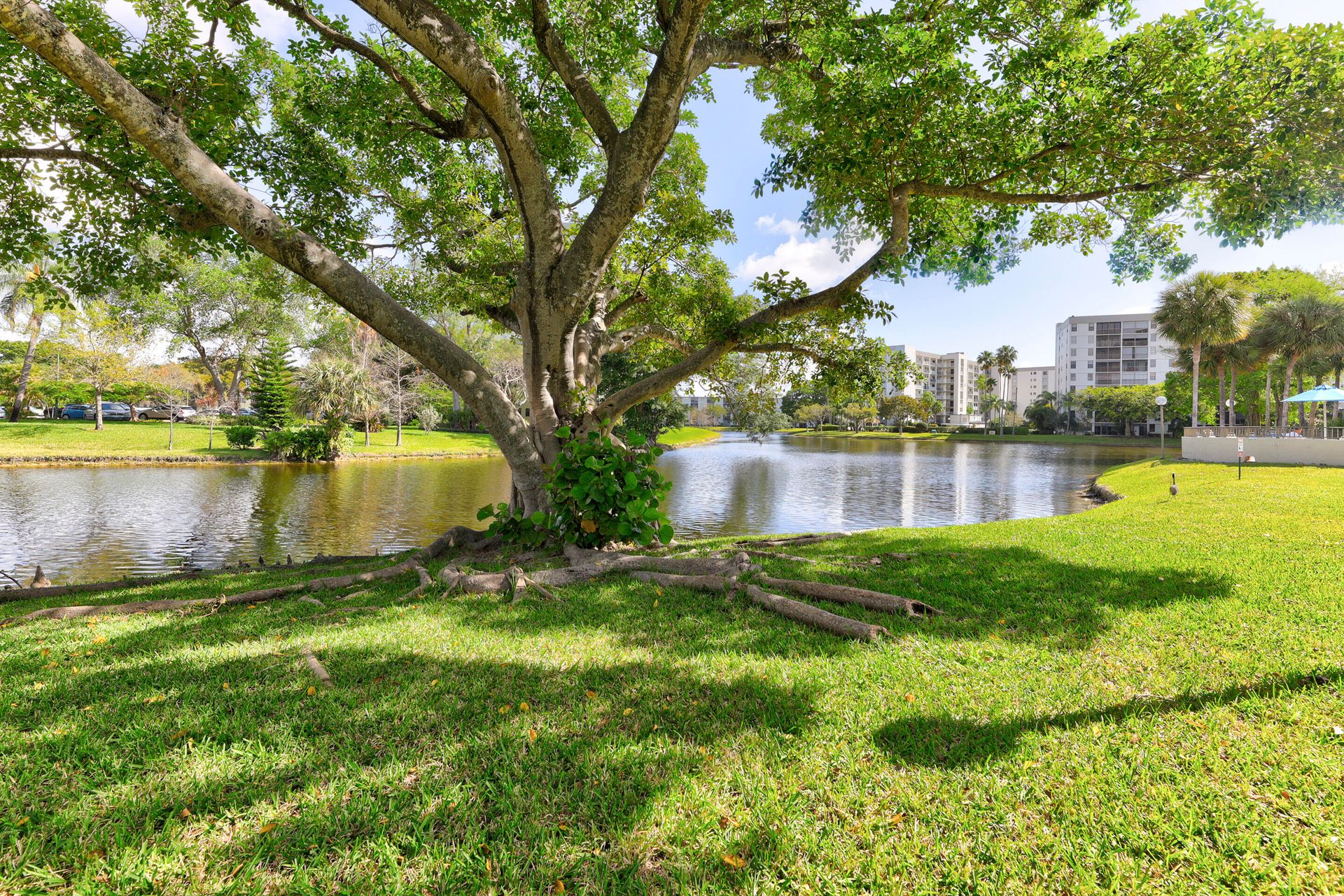 casa no Pompano Beach, Florida 11629622