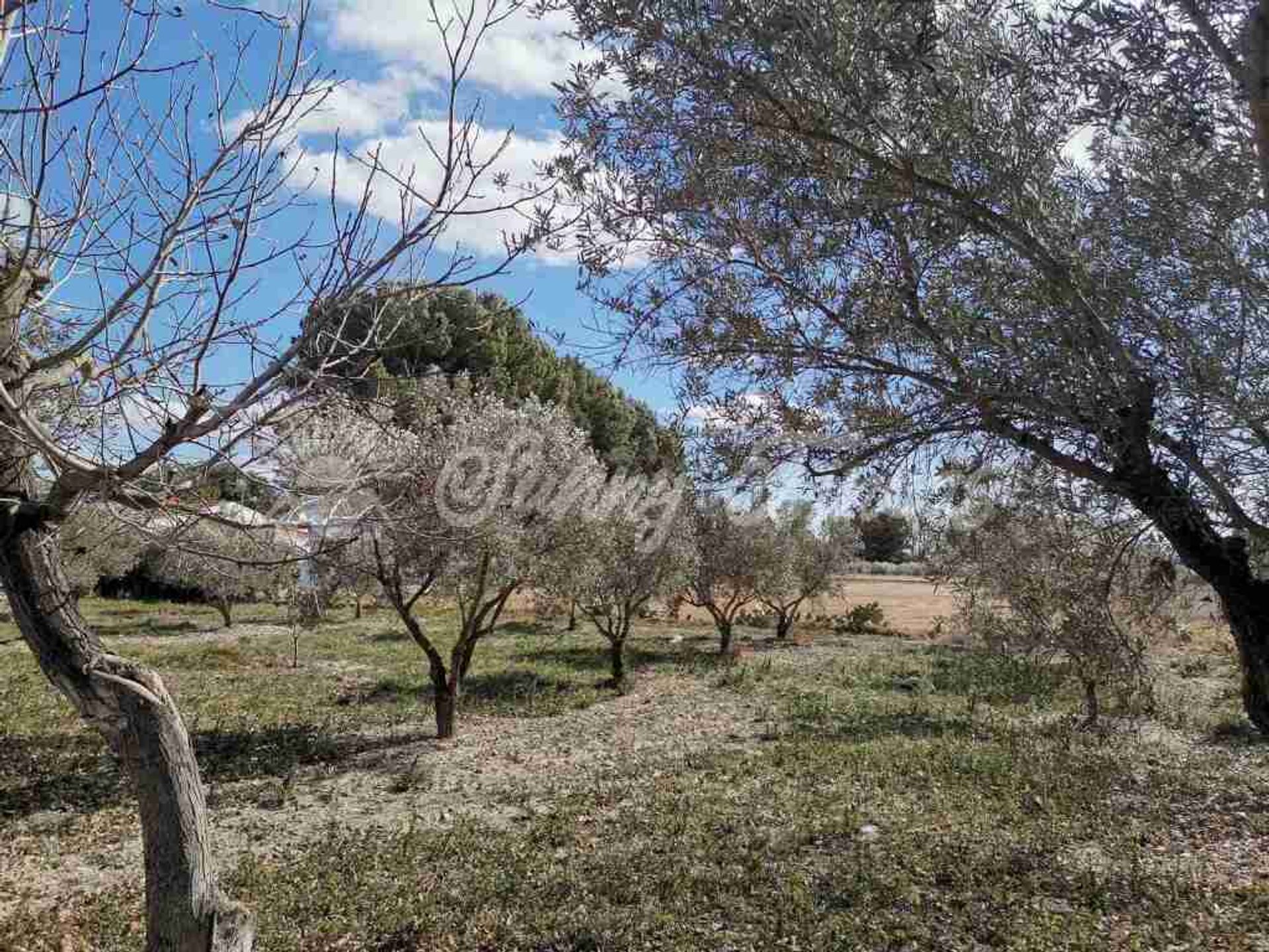 Casa nel Villena, Comunidad Valenciana 11629697