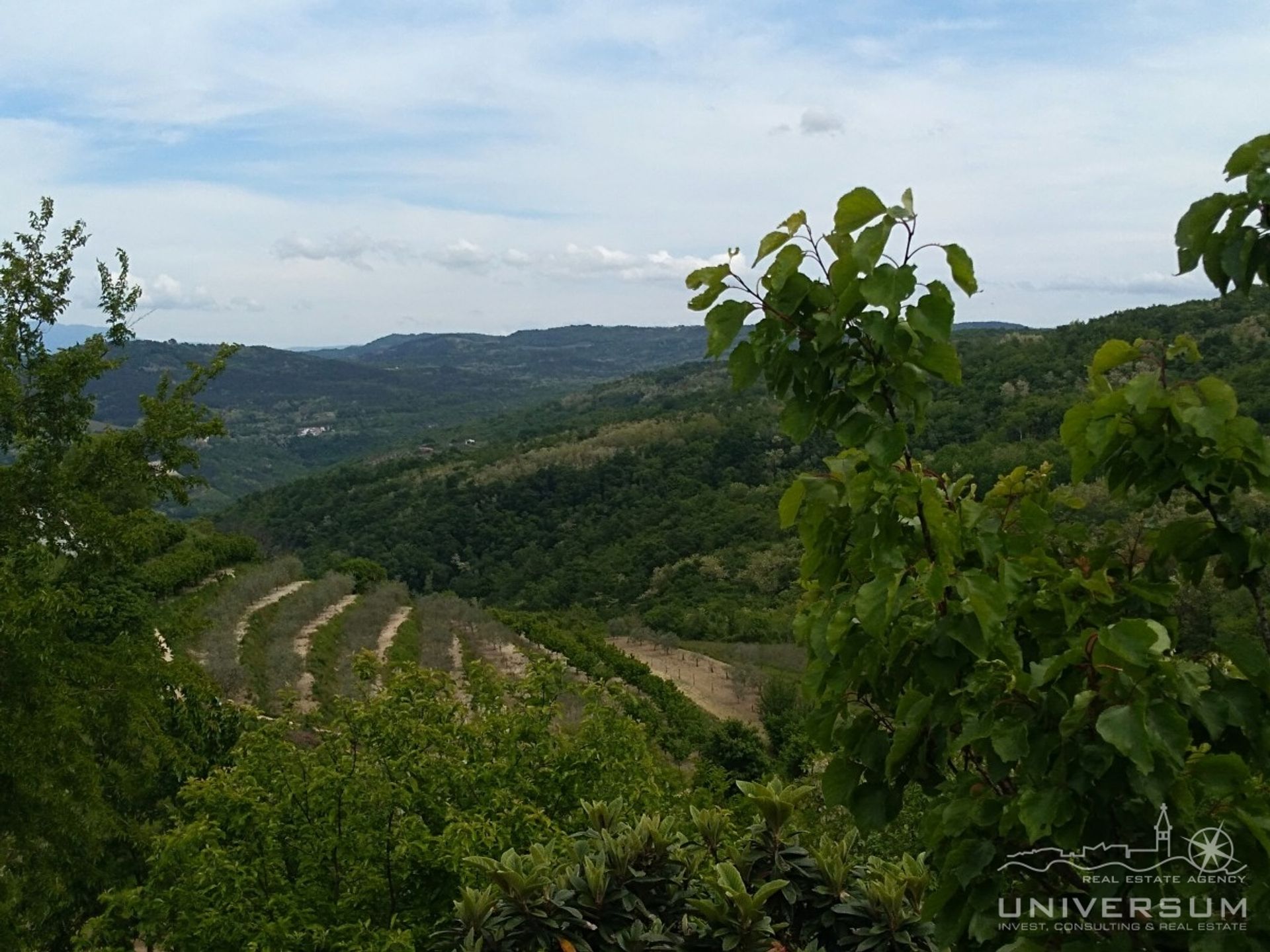 Andet i Vižinada, Istria County 11631521