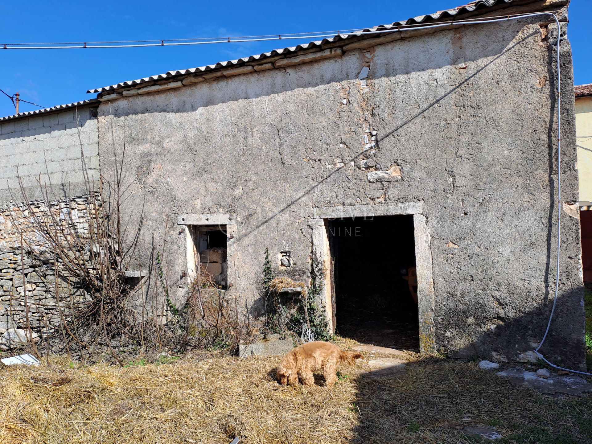 House in Manjadvorci, Istarska županija 11631806