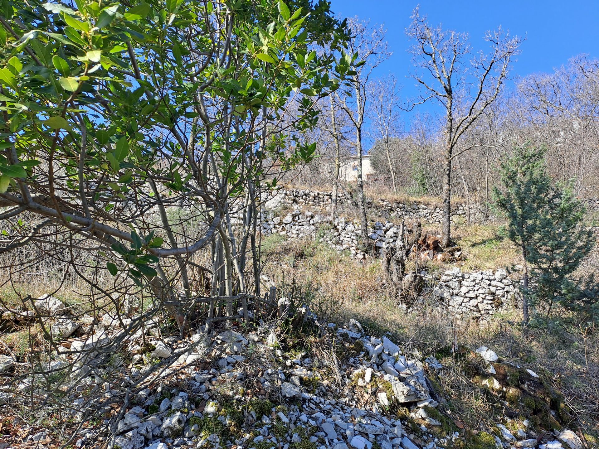 나라 에 Kalac, Mošćenička Draga, Primorje-Gorski Kotar County 11631807