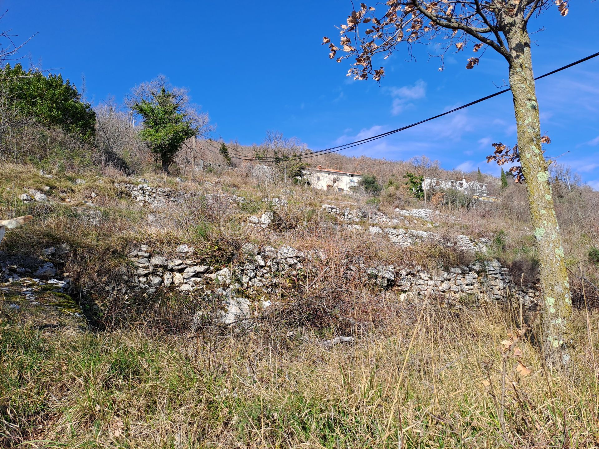 나라 에 Kalac, Mošćenička Draga, Primorje-Gorski Kotar County 11631807