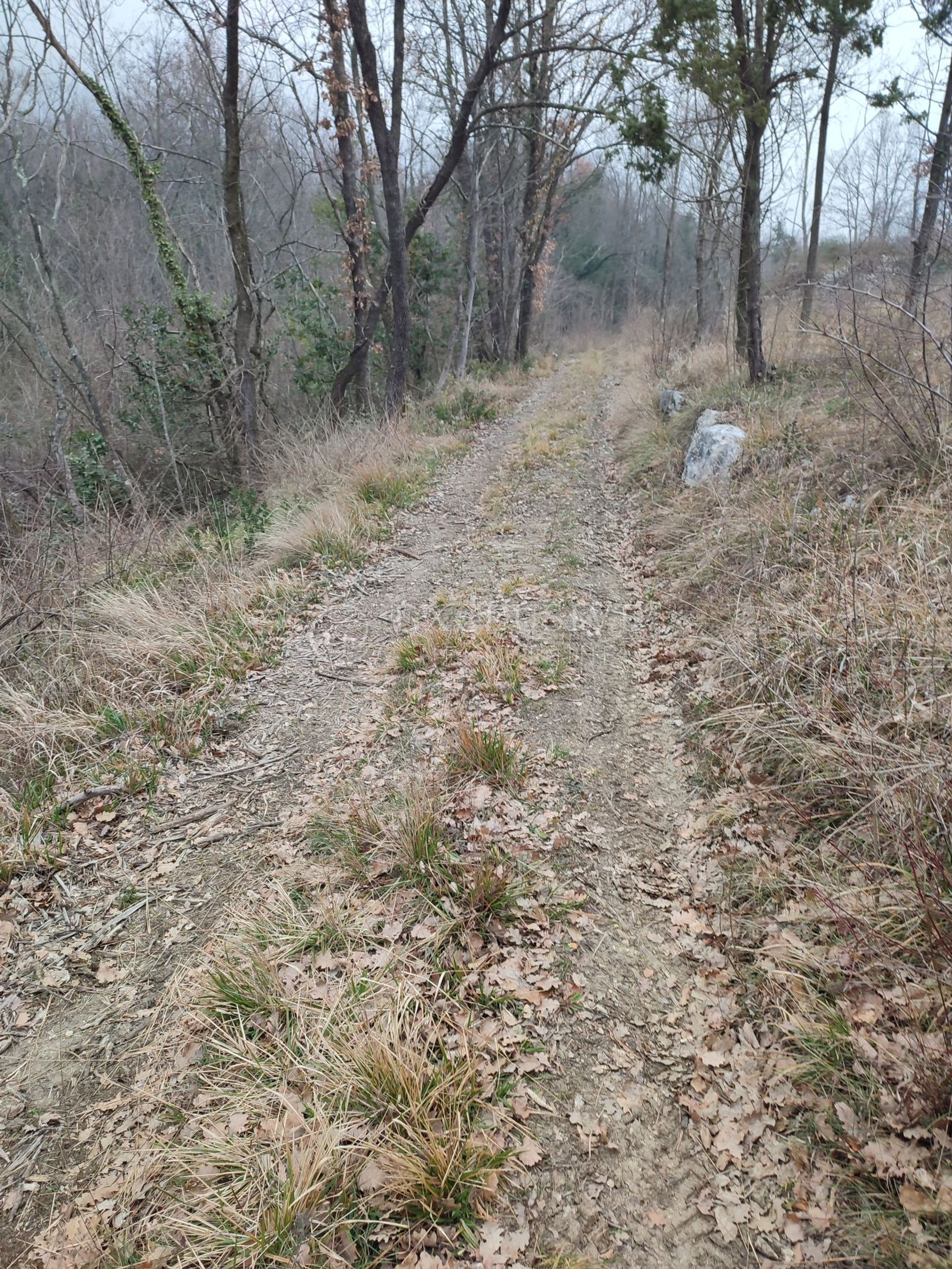 Land im Brseč, Primorje-Gorski Kotar County 11631833